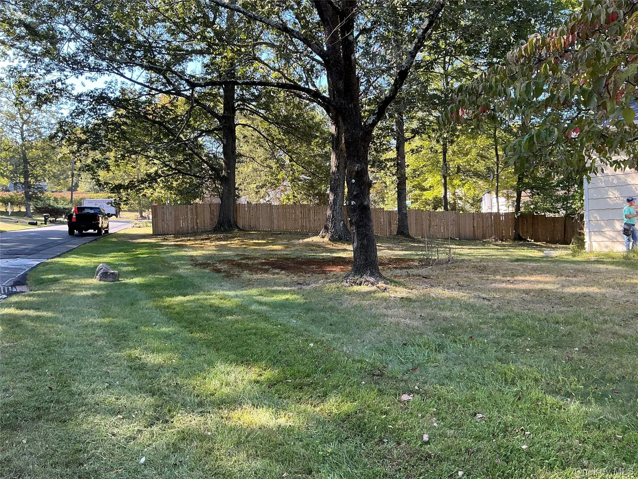 View of yard View of yard