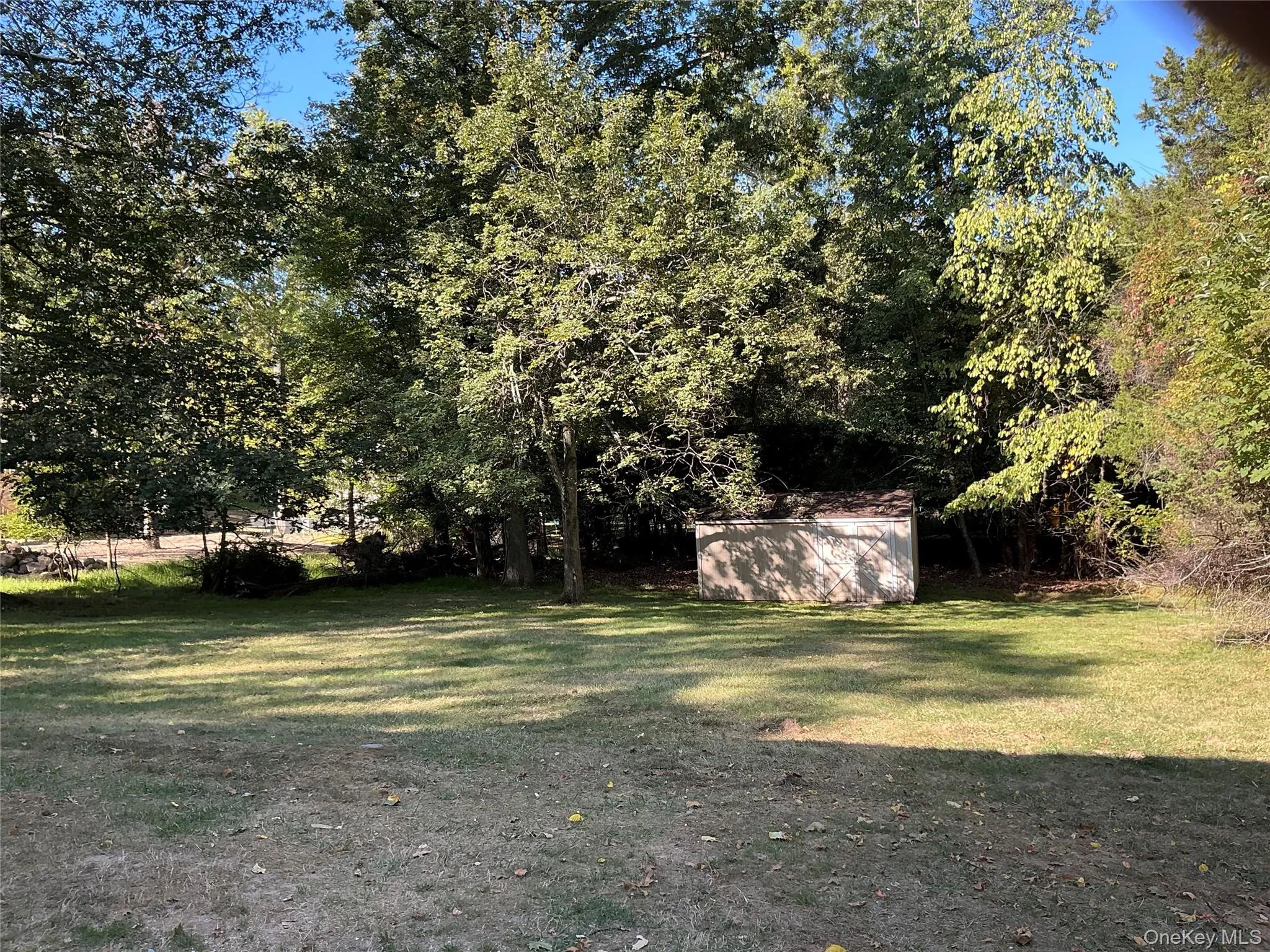 View of green lawn with a storage shed View of green lawn with a storage shed