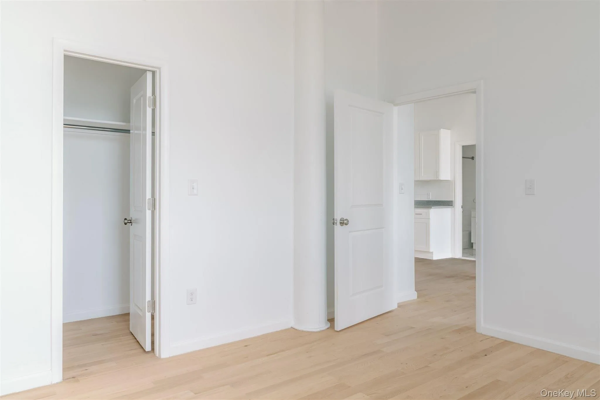 Unfurnished bedroom with light wood-style floors and a walk in closet Unfurnished bedroom with light wood-style floors and a walk in closet