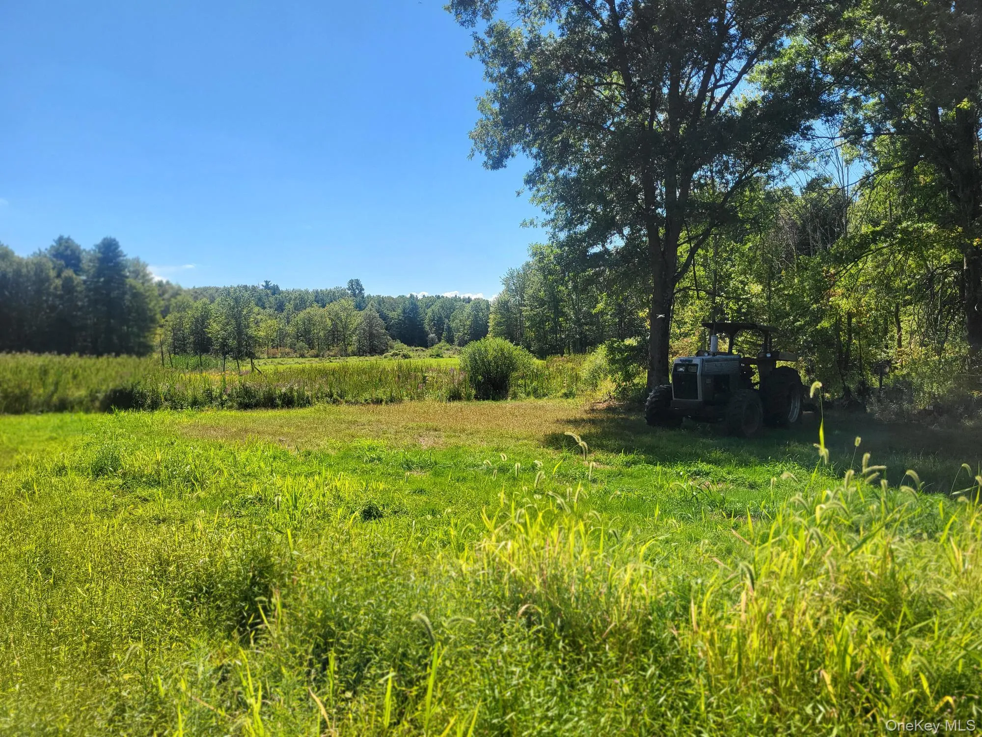 View of local wilderness with rural landscape View of local wilderness with rural landscape