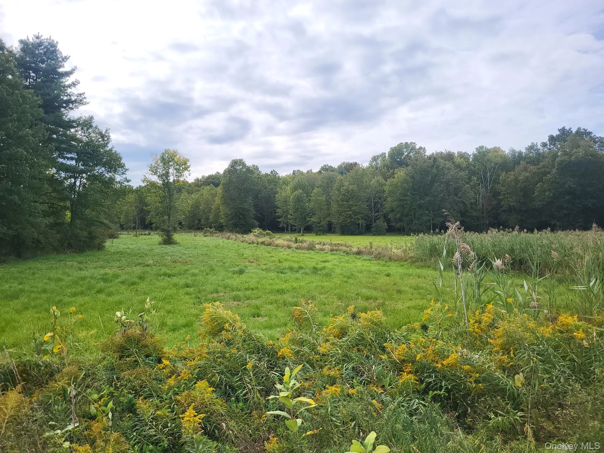 View of wooded area with a view of rural / pastoral area View of wooded area with a view of rural / pastoral area