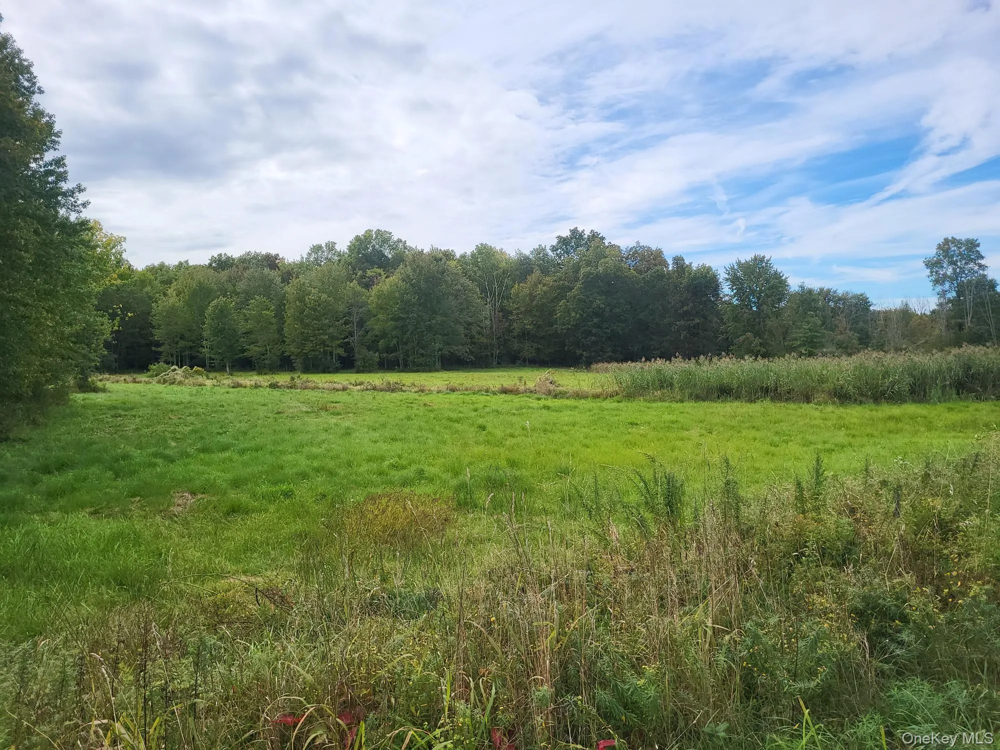 View of woods featuring a view of countryside View of woods featuring a view of countryside