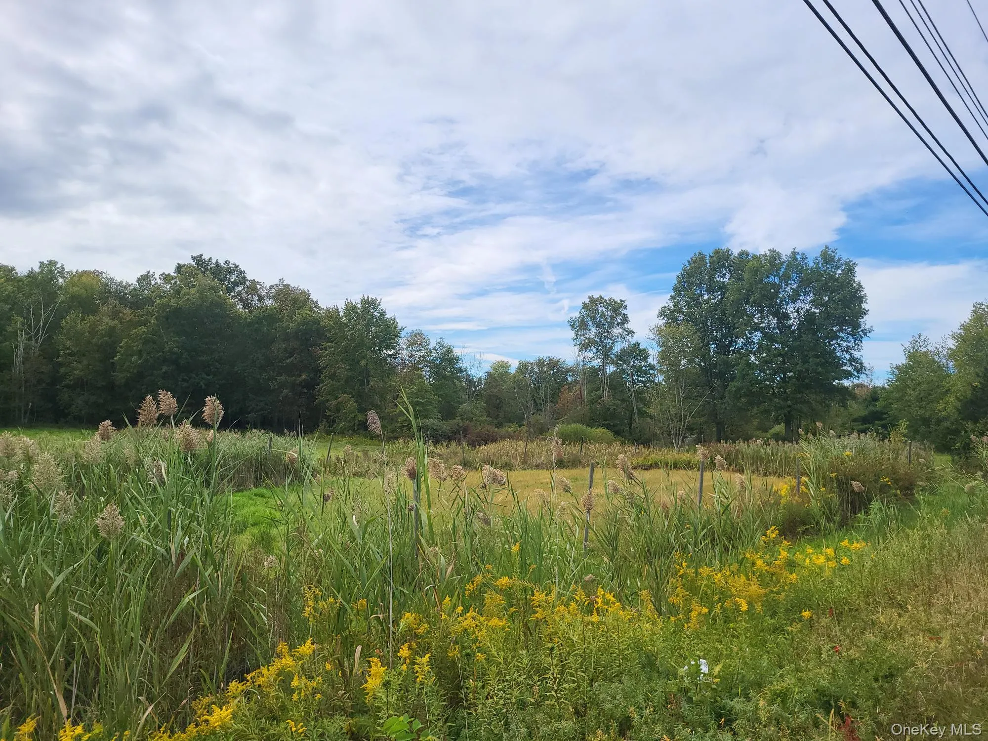 328 Bloomingburg Road, Wallkill, NY, ,Land,For Rent,Bloomingburg,0,915106 328 Bloomingburg Road, Wallkill, NY, ,Land,For Rent,Bloomingburg,0,915106