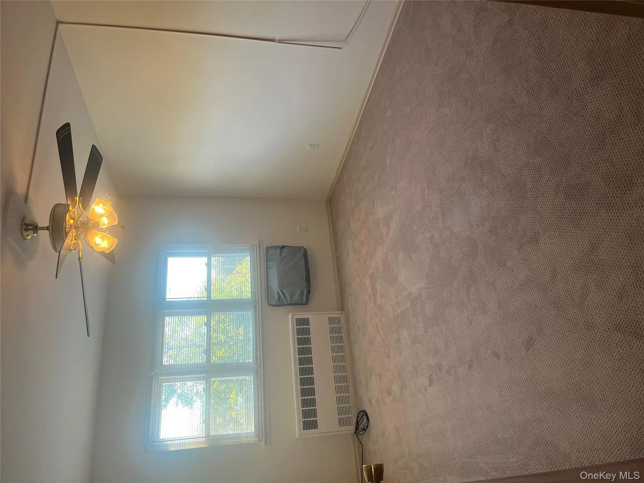 Very well sized bedroom. New carpet & ceiling fan Very well sized bedroom. New carpet & ceiling fan