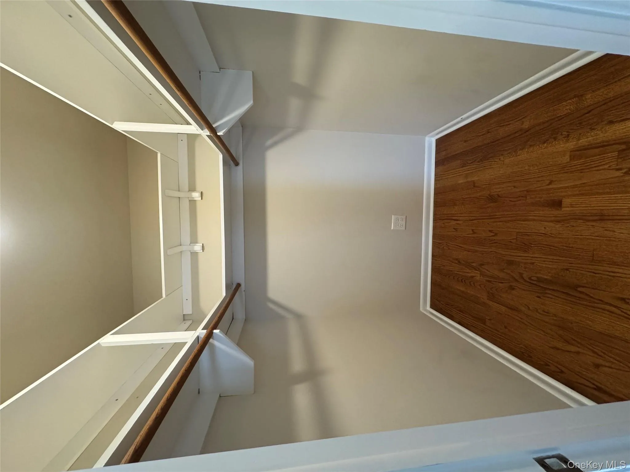 Spacious closet featuring dark wood finished floors Spacious closet featuring dark wood finished floors