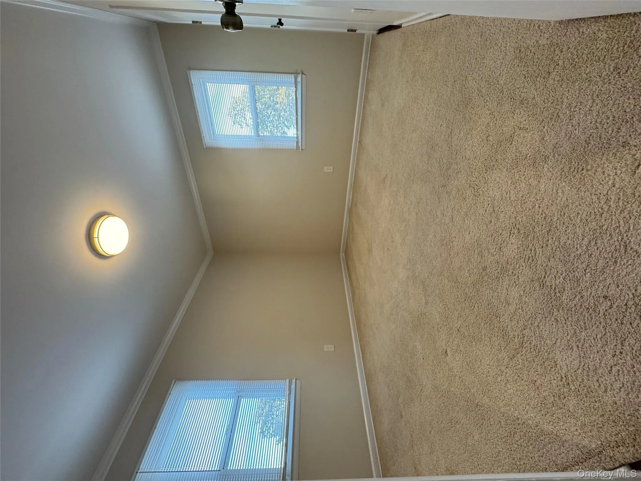 Spare room featuring light carpet and ornamental molding Spare room featuring light carpet and ornamental molding