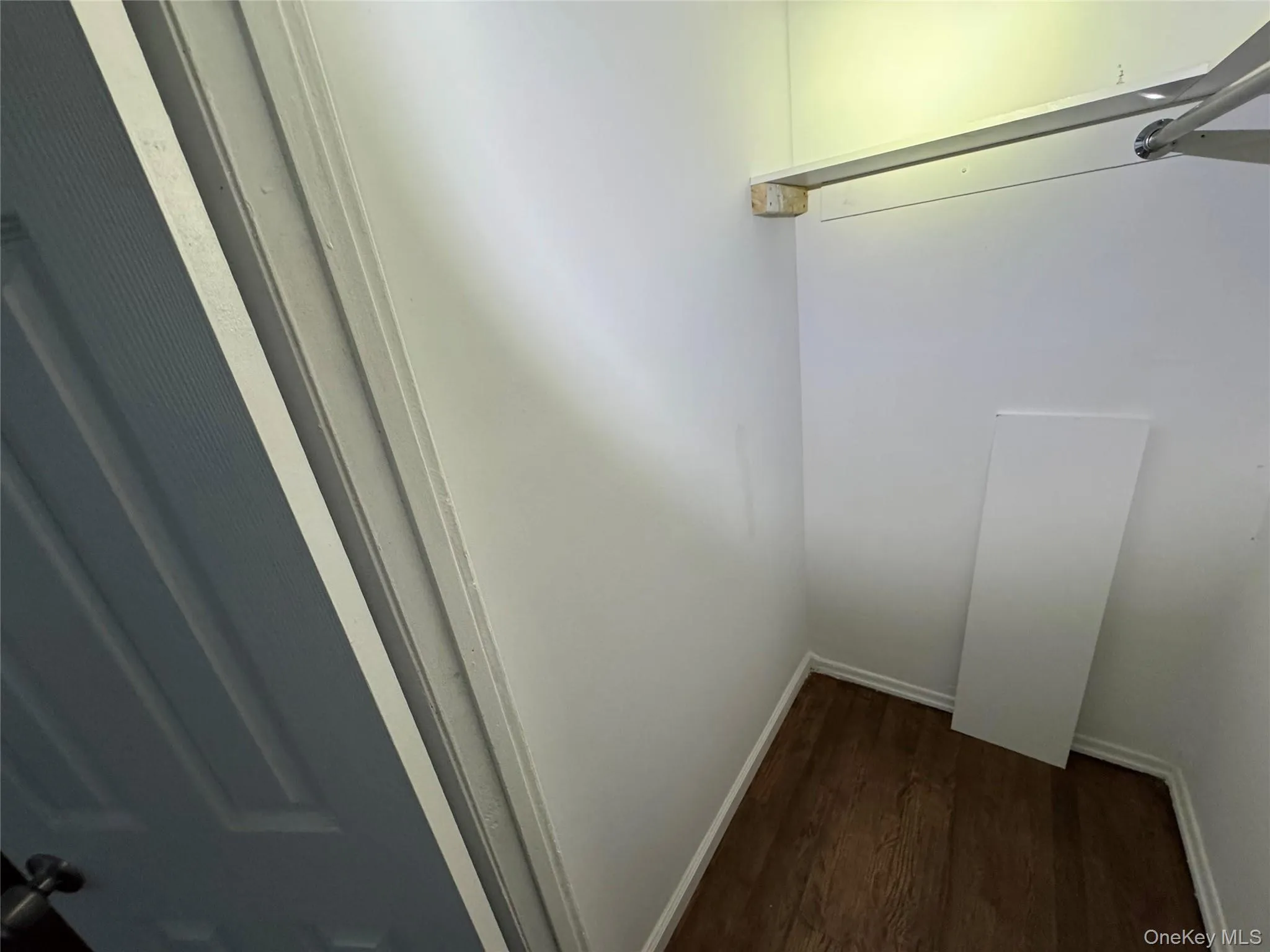 Spacious closet featuring dark wood finished floors Spacious closet featuring dark wood finished floors