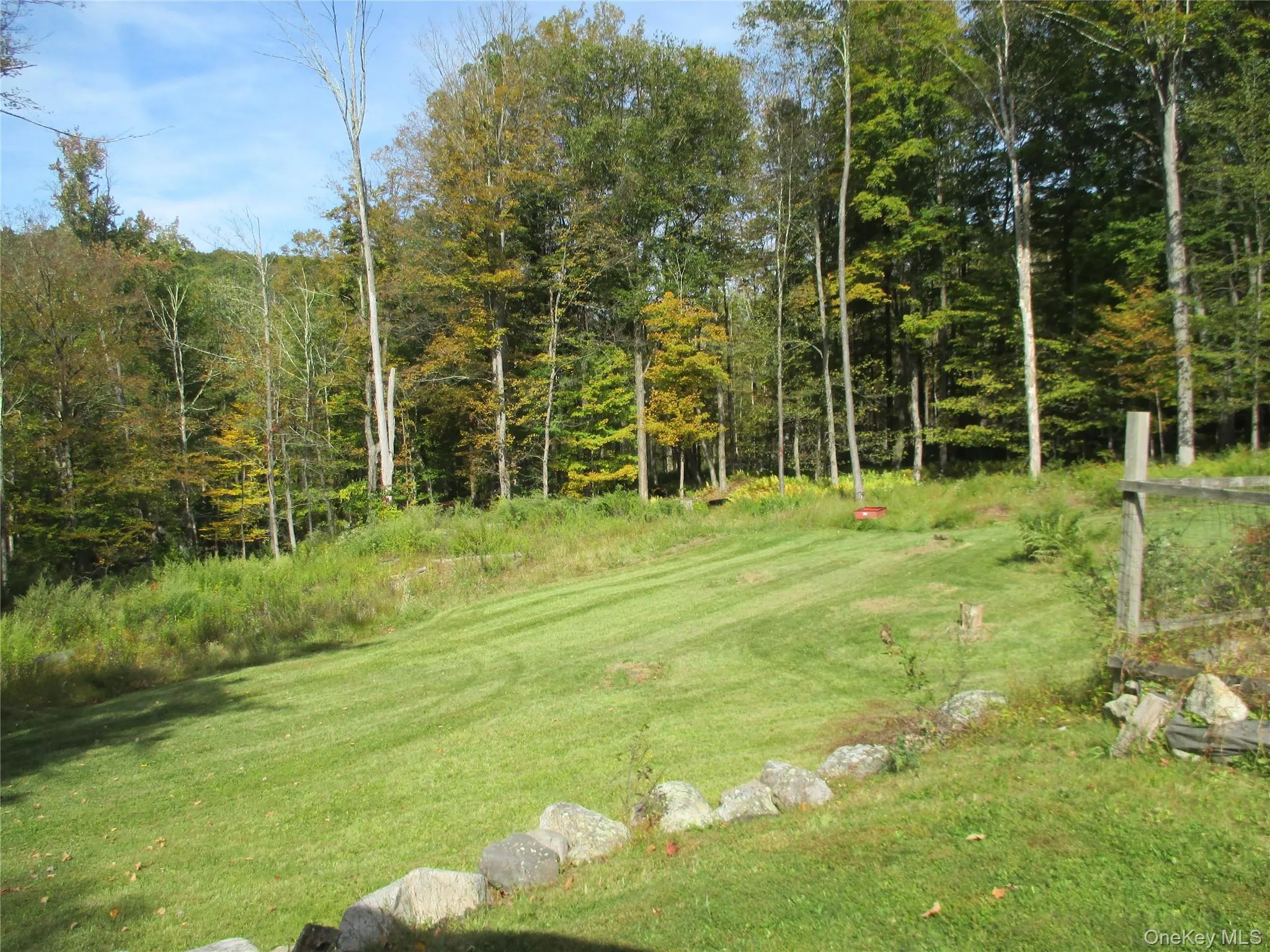 View of grassy yard View of grassy yard