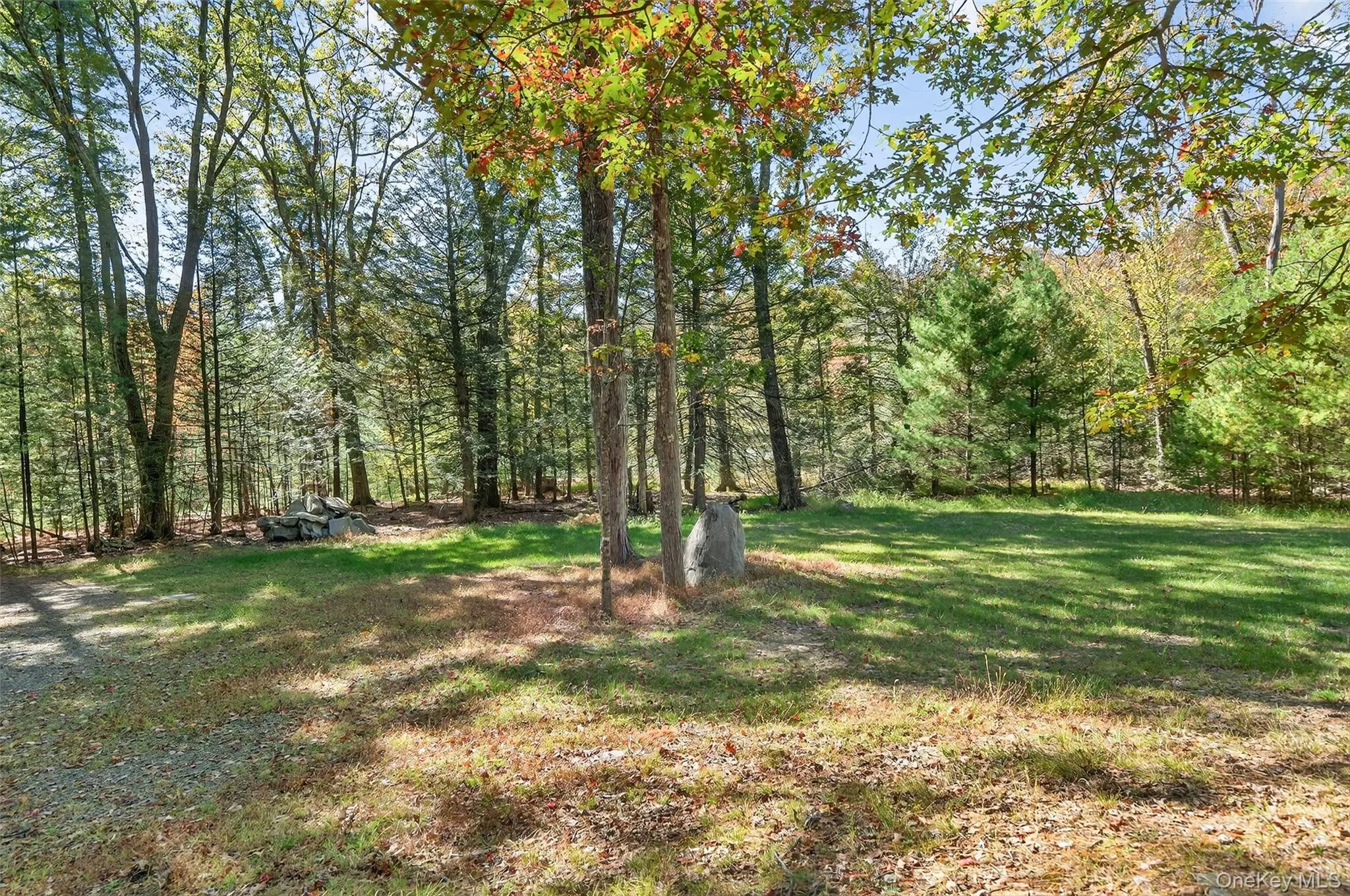 Beautiful wooded property Beautiful wooded property