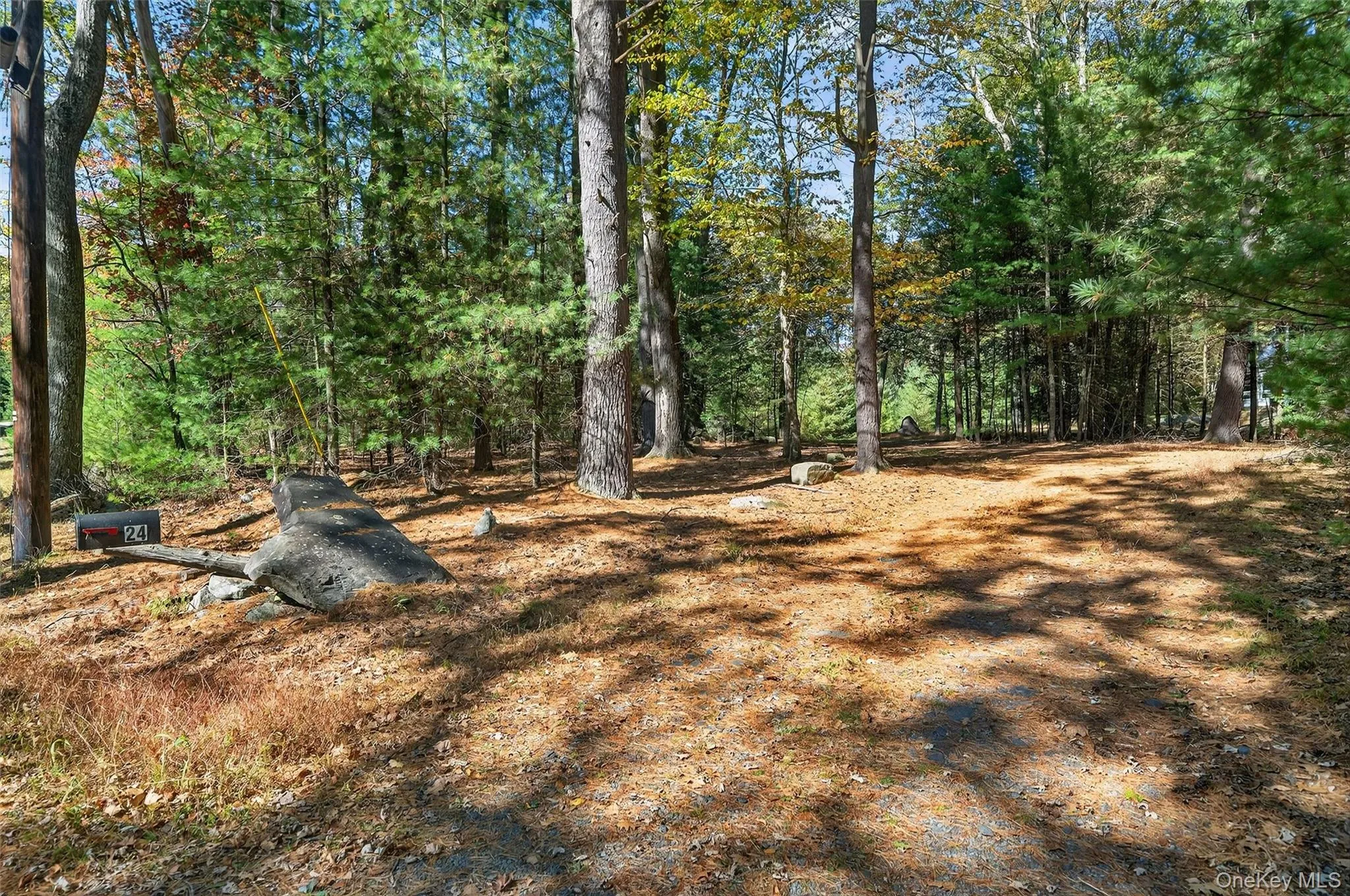 Another view Another view