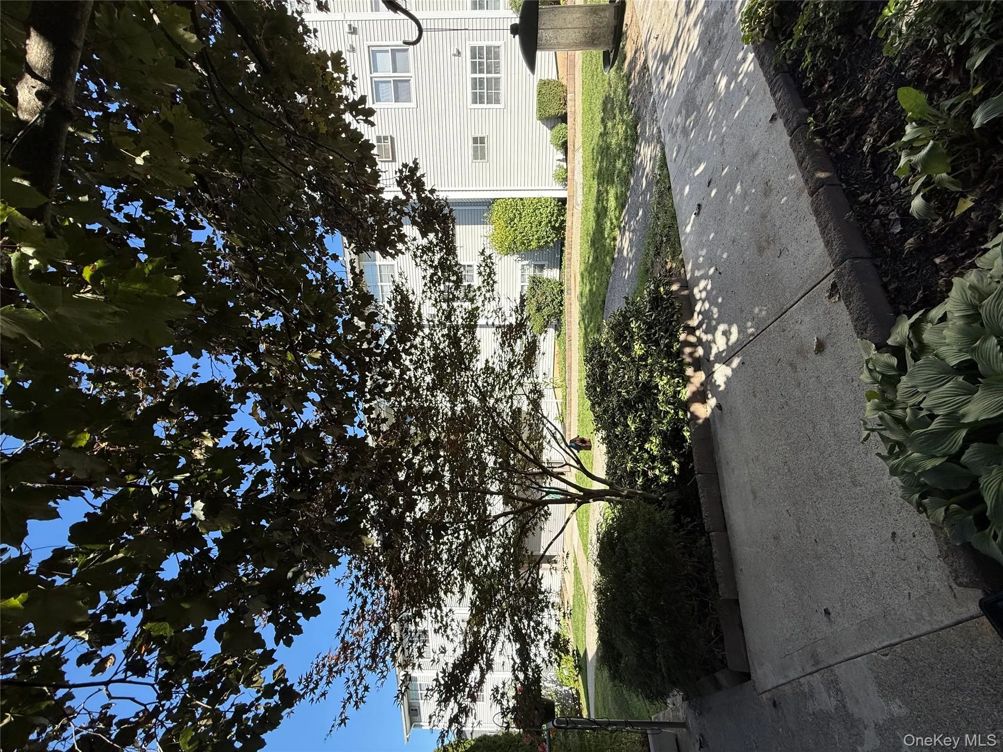 Surrounding community featuring a lawn Surrounding community featuring a lawn