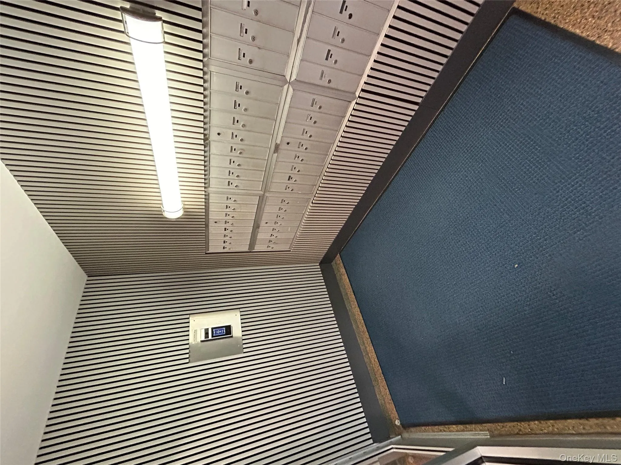 View of carpeted spare room View of carpeted spare room