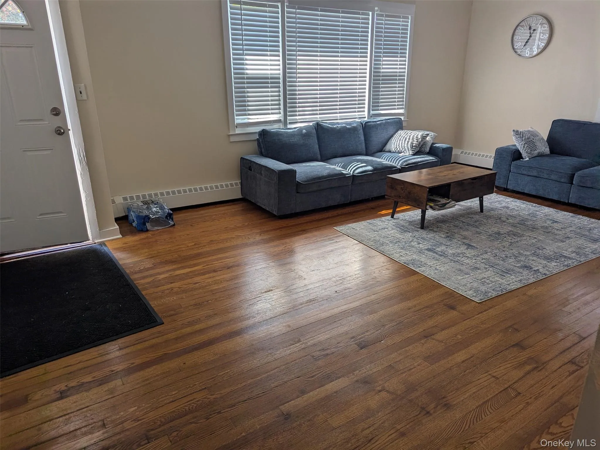 Living room with hardwood / wood-style flooring, a baseboard radiator, and baseboard heating Living room with hardwood / wood-style flooring, a baseboard radiator, and baseboard heating
