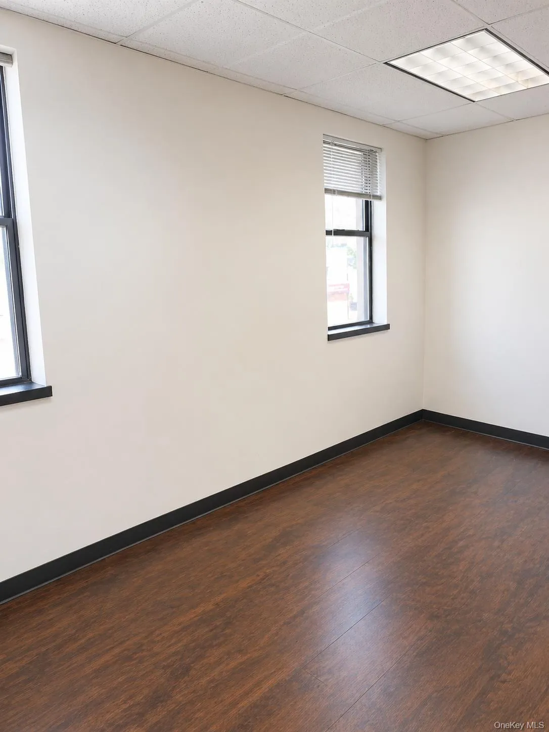 249-02 Jericho Turnpike, Hempstead, NY, ,Commercial Lease,For Rent,Jericho Turnpike,0,915839 249-02 Jericho Turnpike, Hempstead, NY, ,Commercial Lease,For Rent,Jericho Turnpike,0,915839