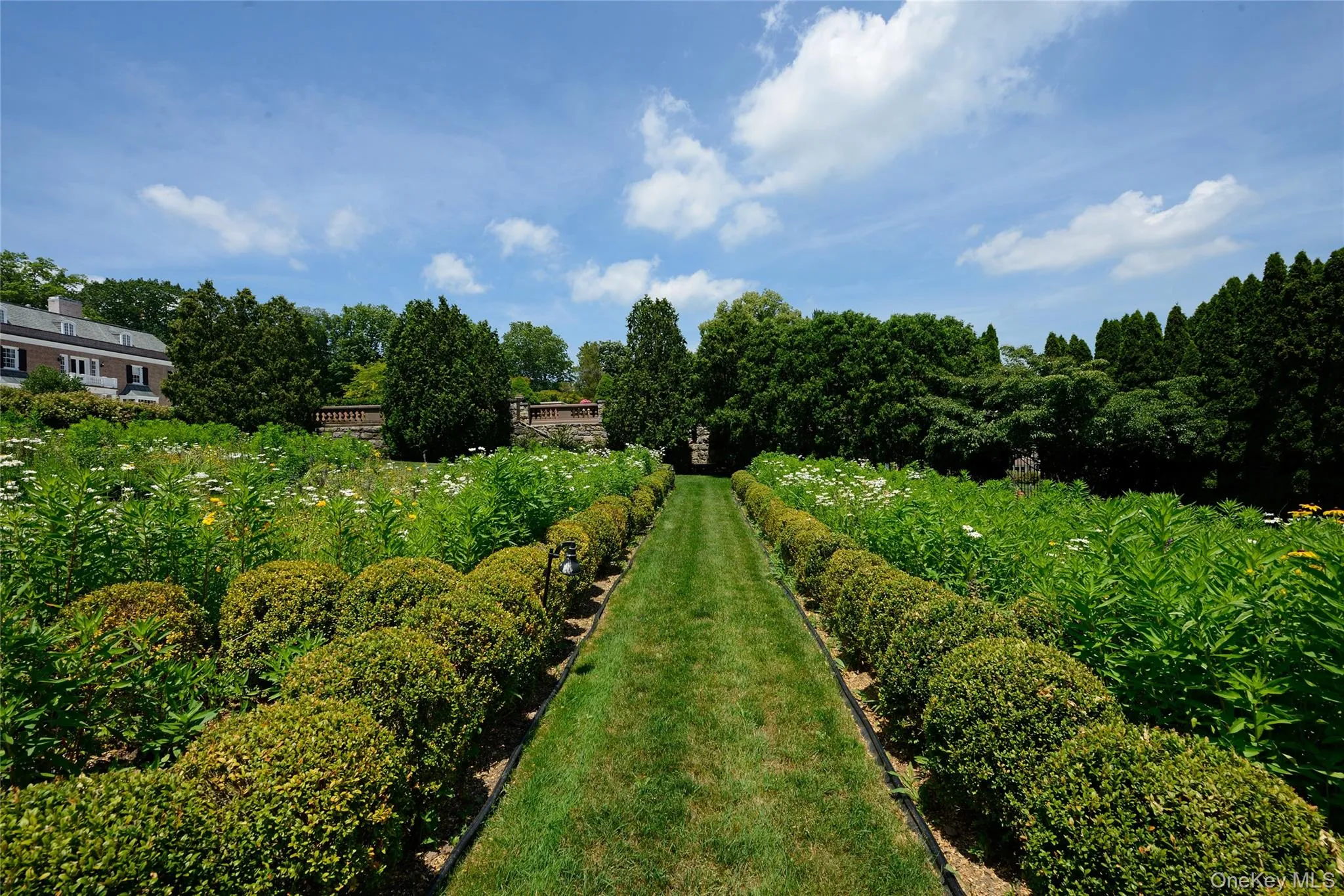 View of yard with view of scattered trees View of yard with view of scattered trees