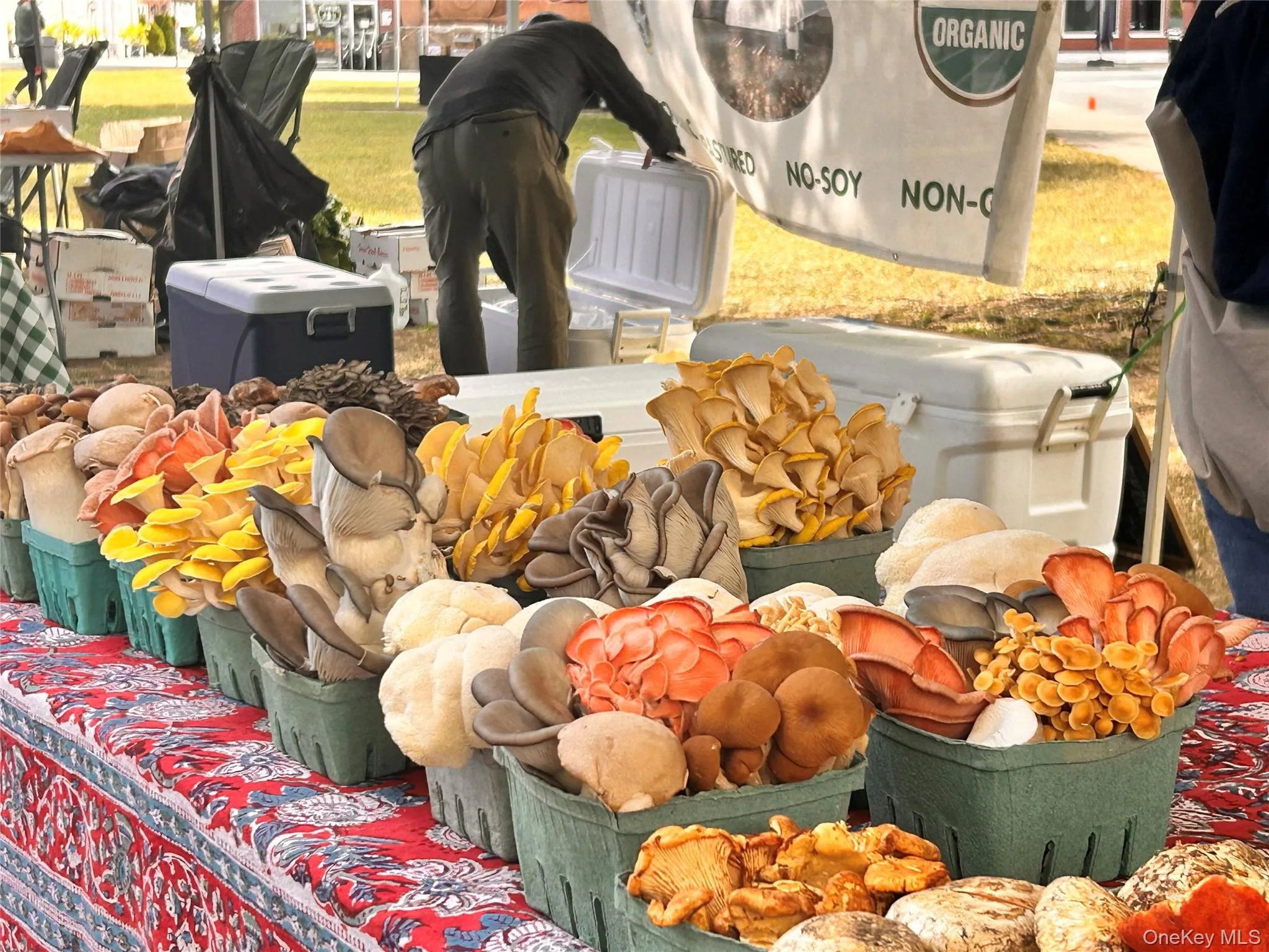 Exterior view Exterior view