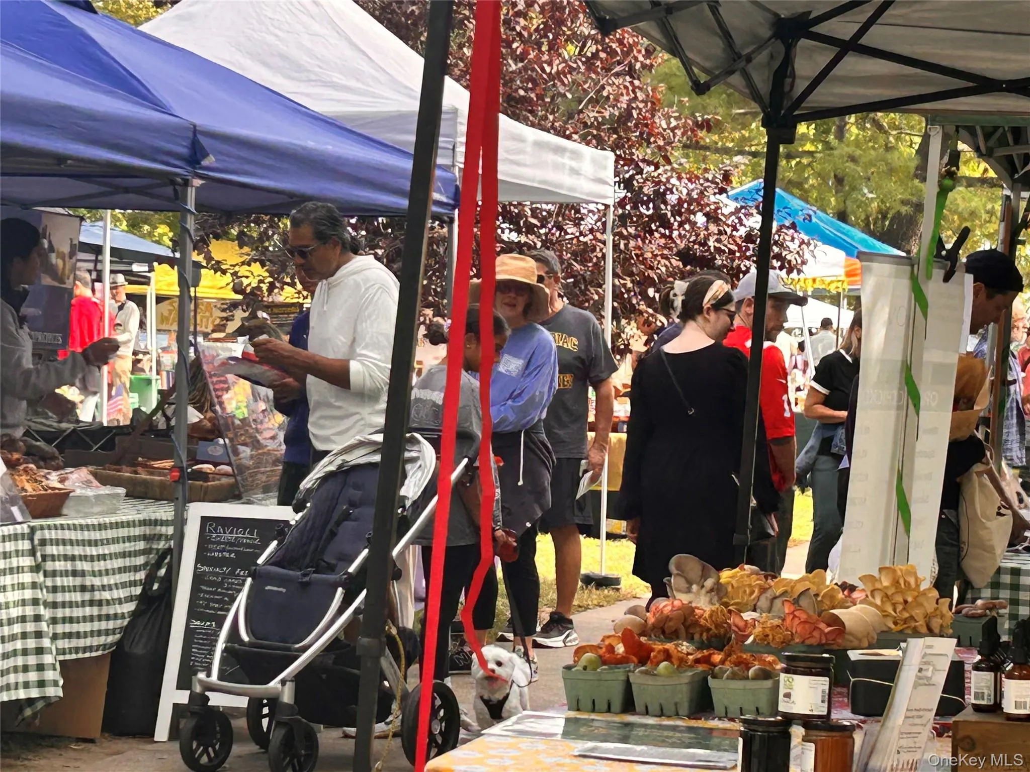 Exterior view of a sunroom Exterior view of a sunroom