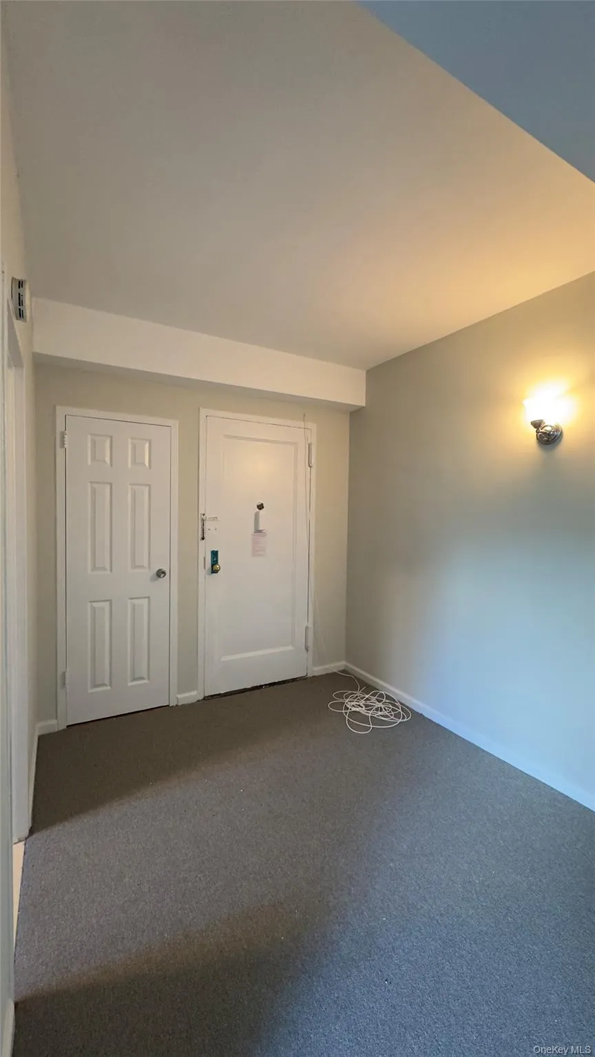 Foyer entrance featuring carpet flooring Foyer entrance featuring carpet flooring