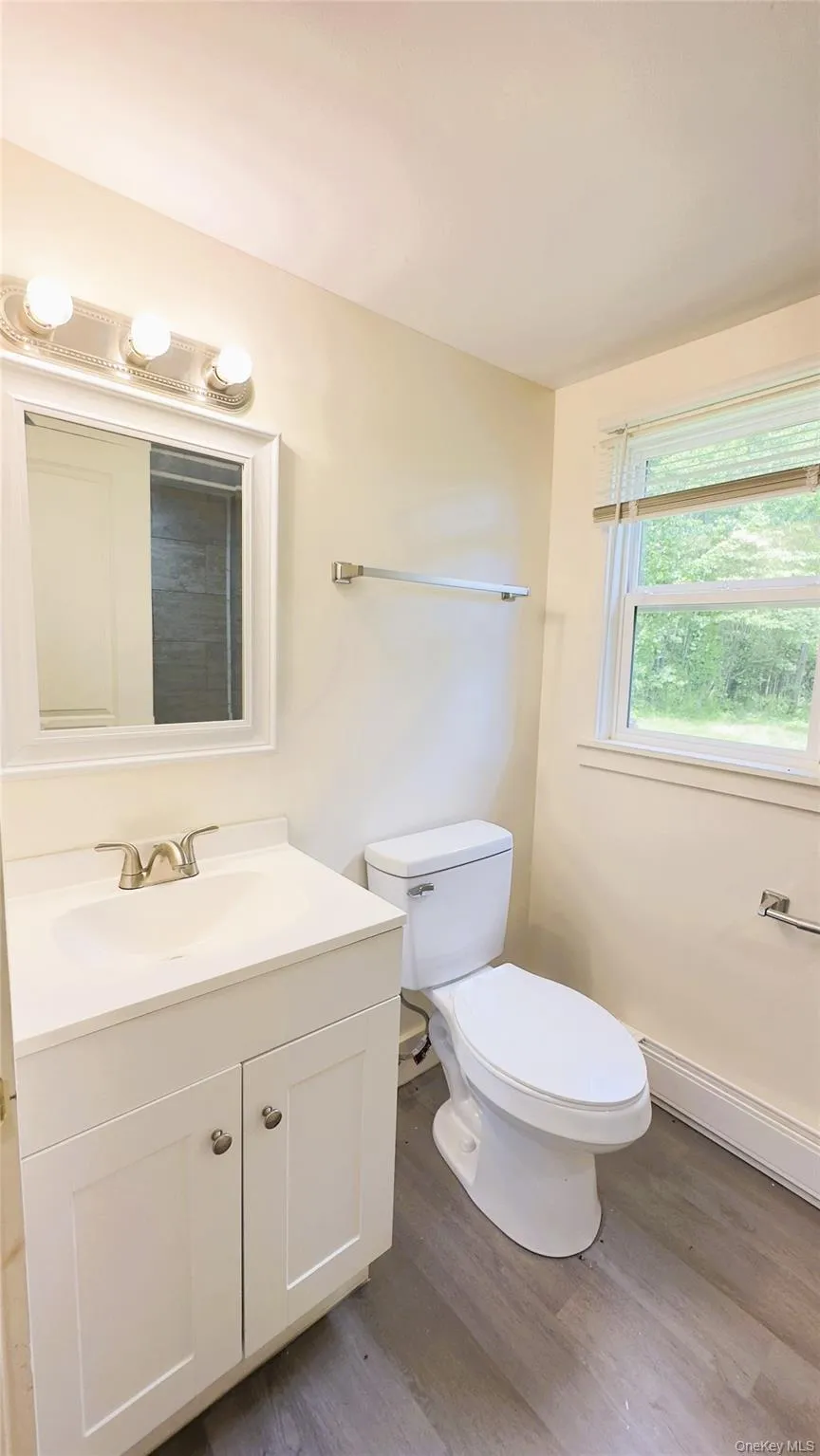 Bathroom with vinyl floors and vanity Bathroom with vinyl floors and vanity