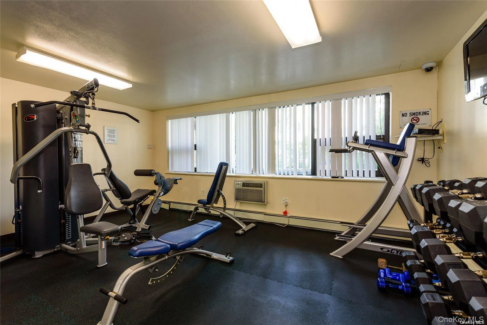Workout area featuring plenty of natural light, baseboard heating, and a wall mounted air conditioner Workout area featuring plenty of natural light, baseboard heating, and a wall mounted air conditioner