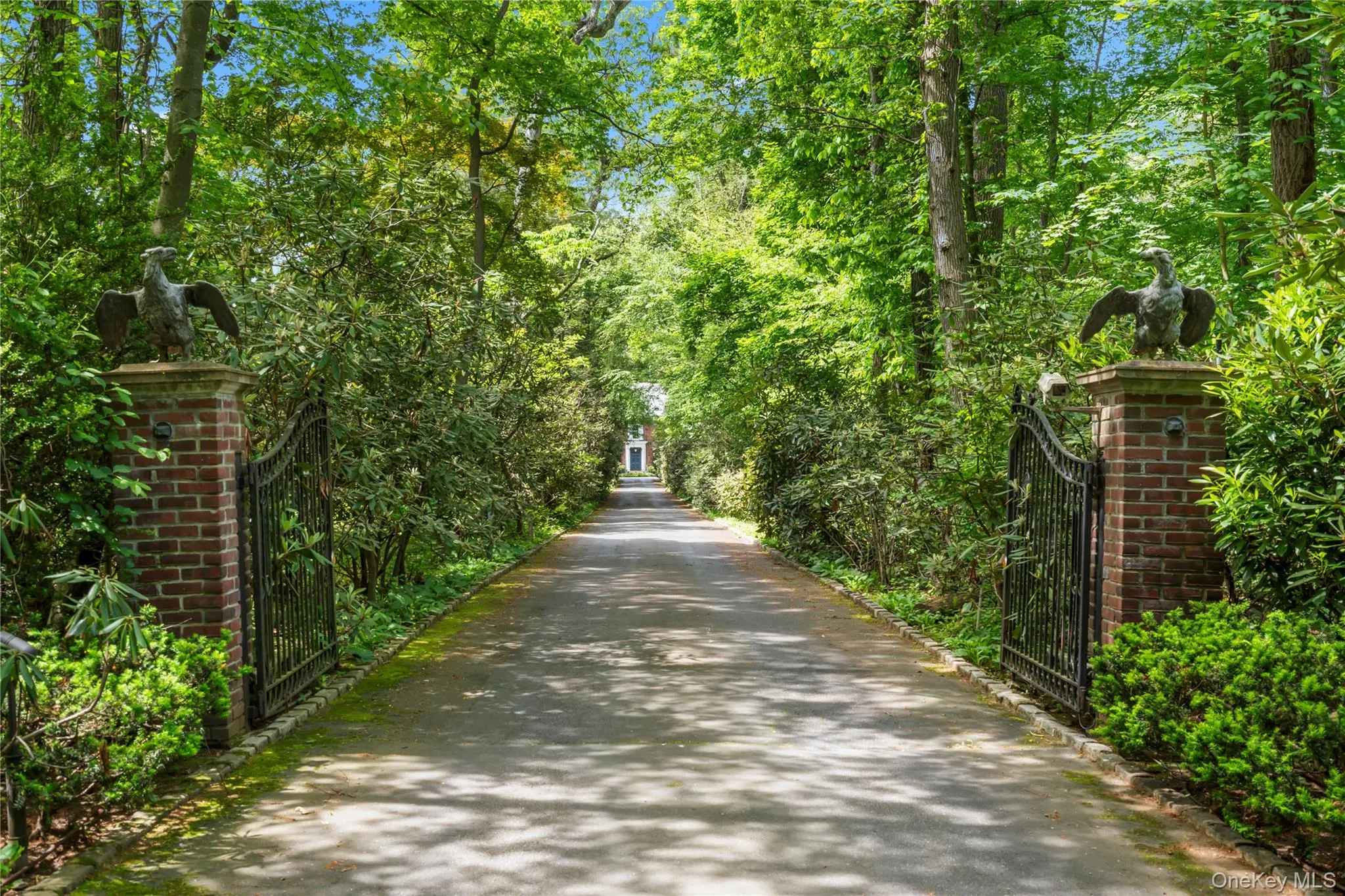 View of asphalt driveway with a view of trees, a gated entry, and a gate View of asphalt driveway with a view of trees, a gated entry, and a gate