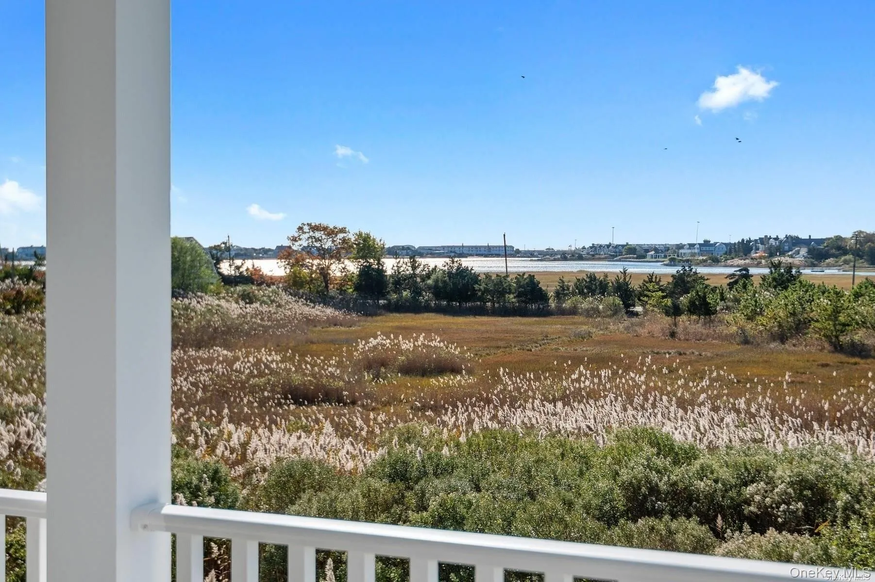 77 Library Avenue, Southampton, NY, 4 Bedrooms Bedrooms, 8 Rooms Rooms,4 BathroomsBathrooms,Residential Lease,Idx,Library,0,916128 77 Library Avenue, Southampton, NY, 4 Bedrooms Bedrooms, 8 Rooms Rooms,4 BathroomsBathrooms,Residential Lease,Idx,Library,0,916128