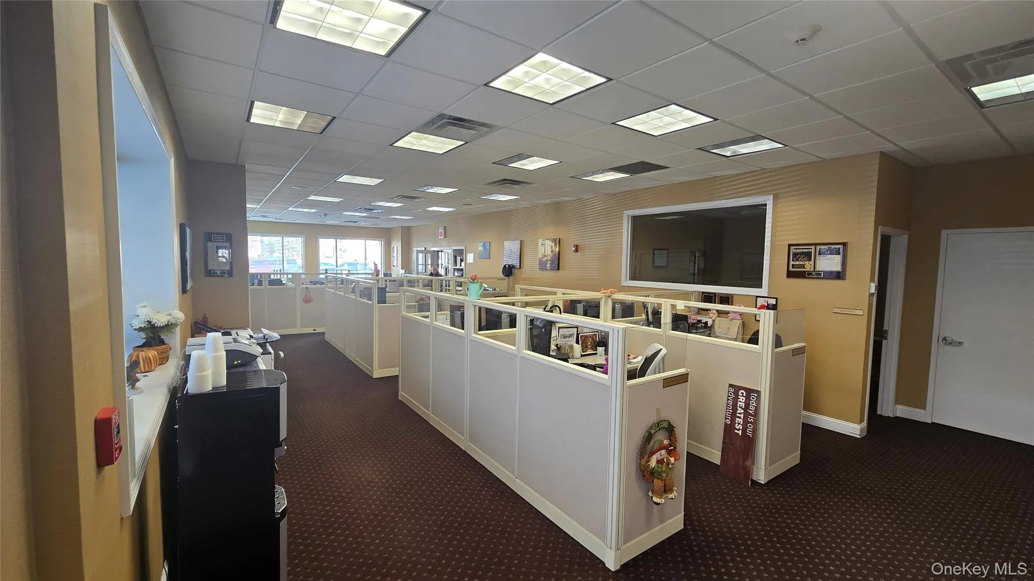 Living area with a drop ceiling and dark carpet Living area with a drop ceiling and dark carpet