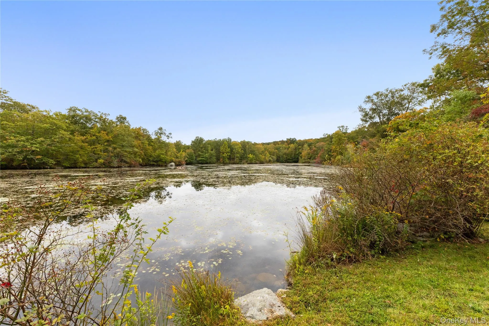 Water view featuring a heavily wooded area Water view featuring a heavily wooded area