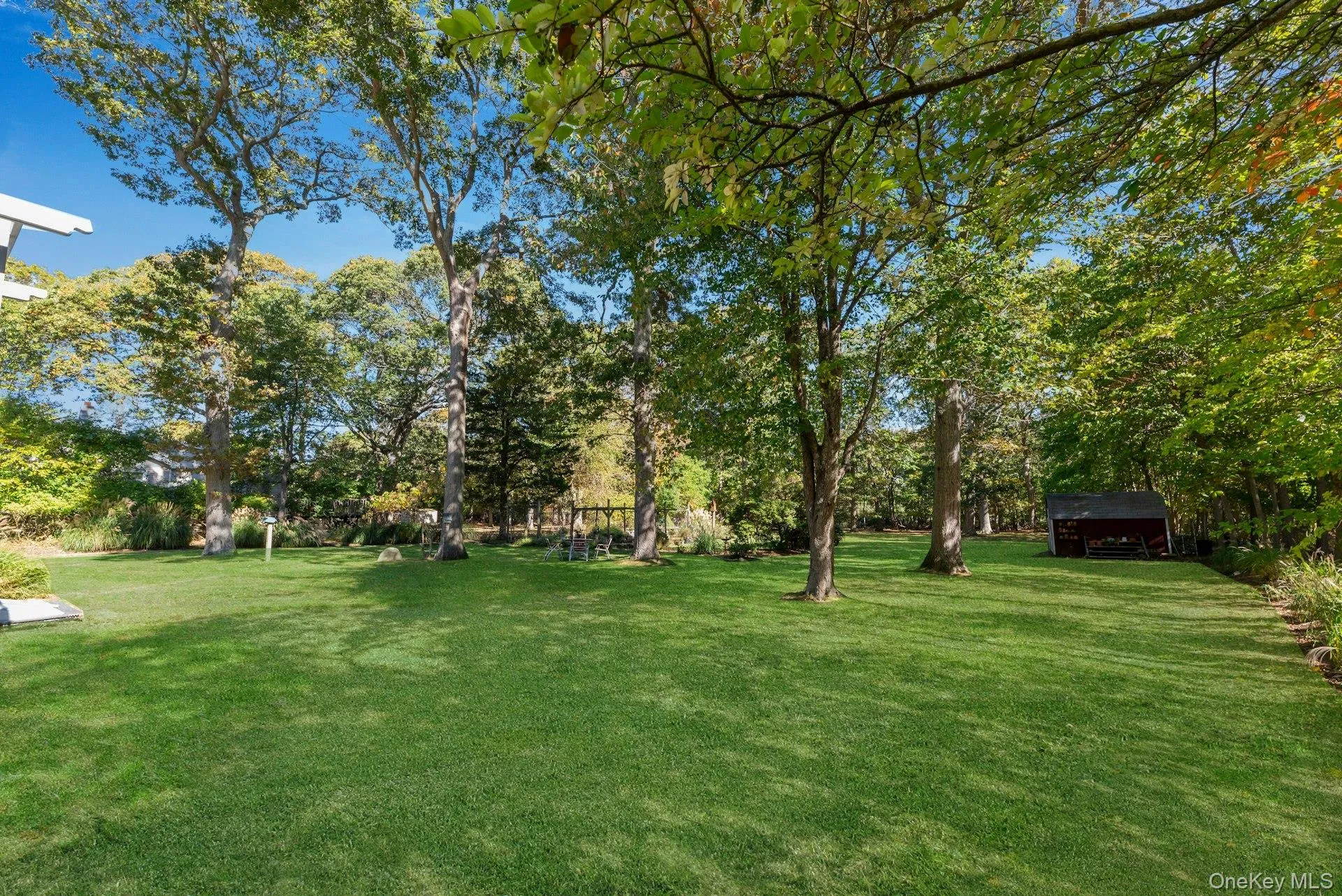 View of grassy yard featuring view of wooded area and an outdoor structure View of grassy yard featuring view of wooded area and an outdoor structure
