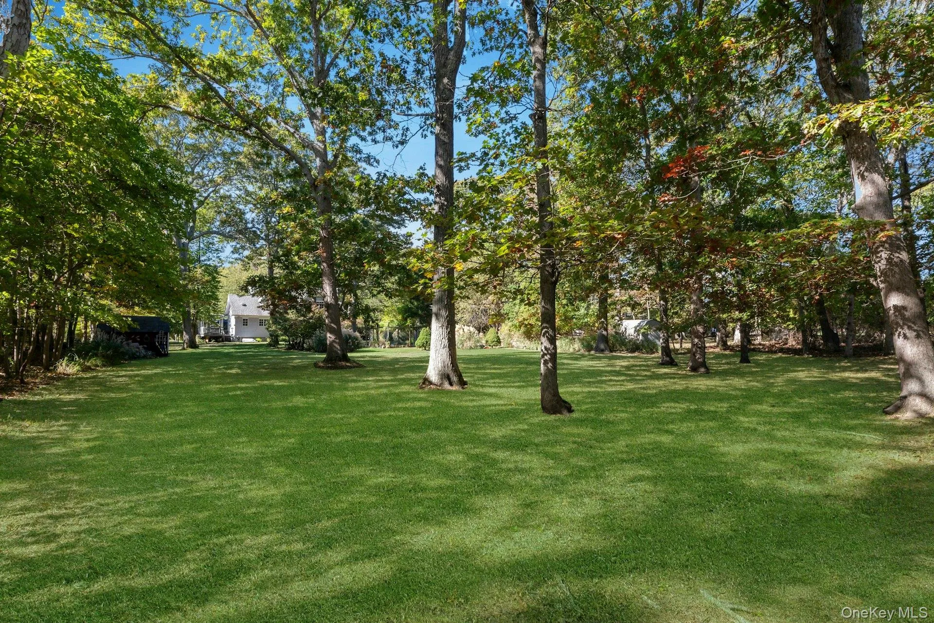 View of green lawn with view of scattered trees View of green lawn with view of scattered trees