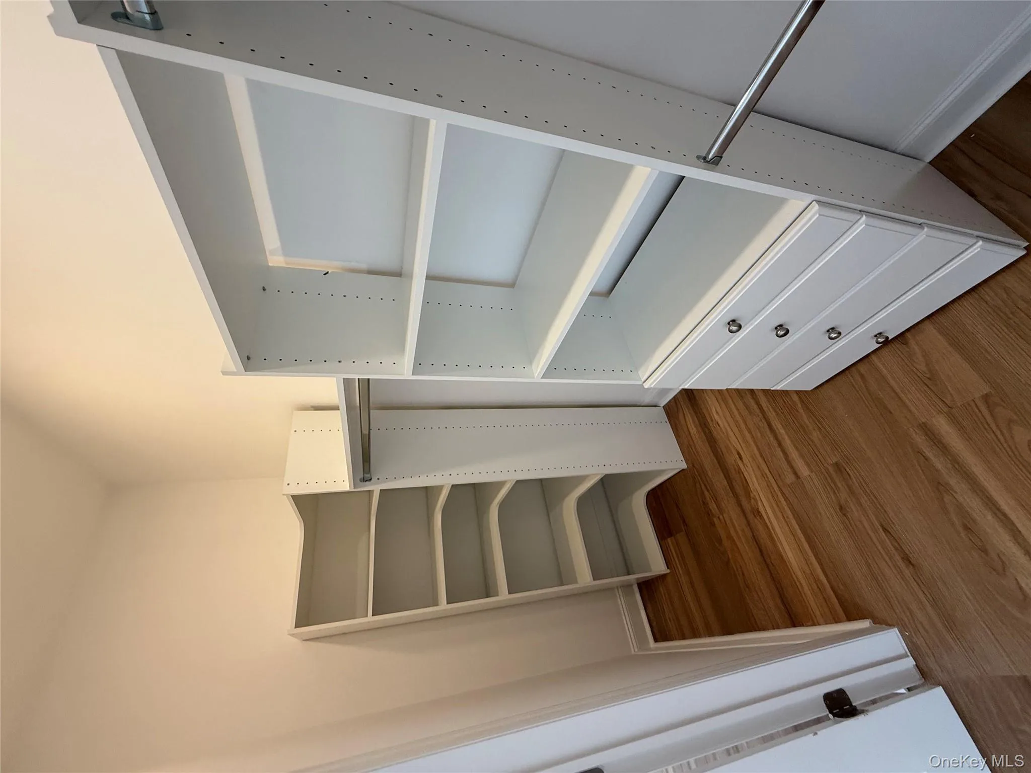 Spacious closet featuring dark wood-style floors Spacious closet featuring dark wood-style floors