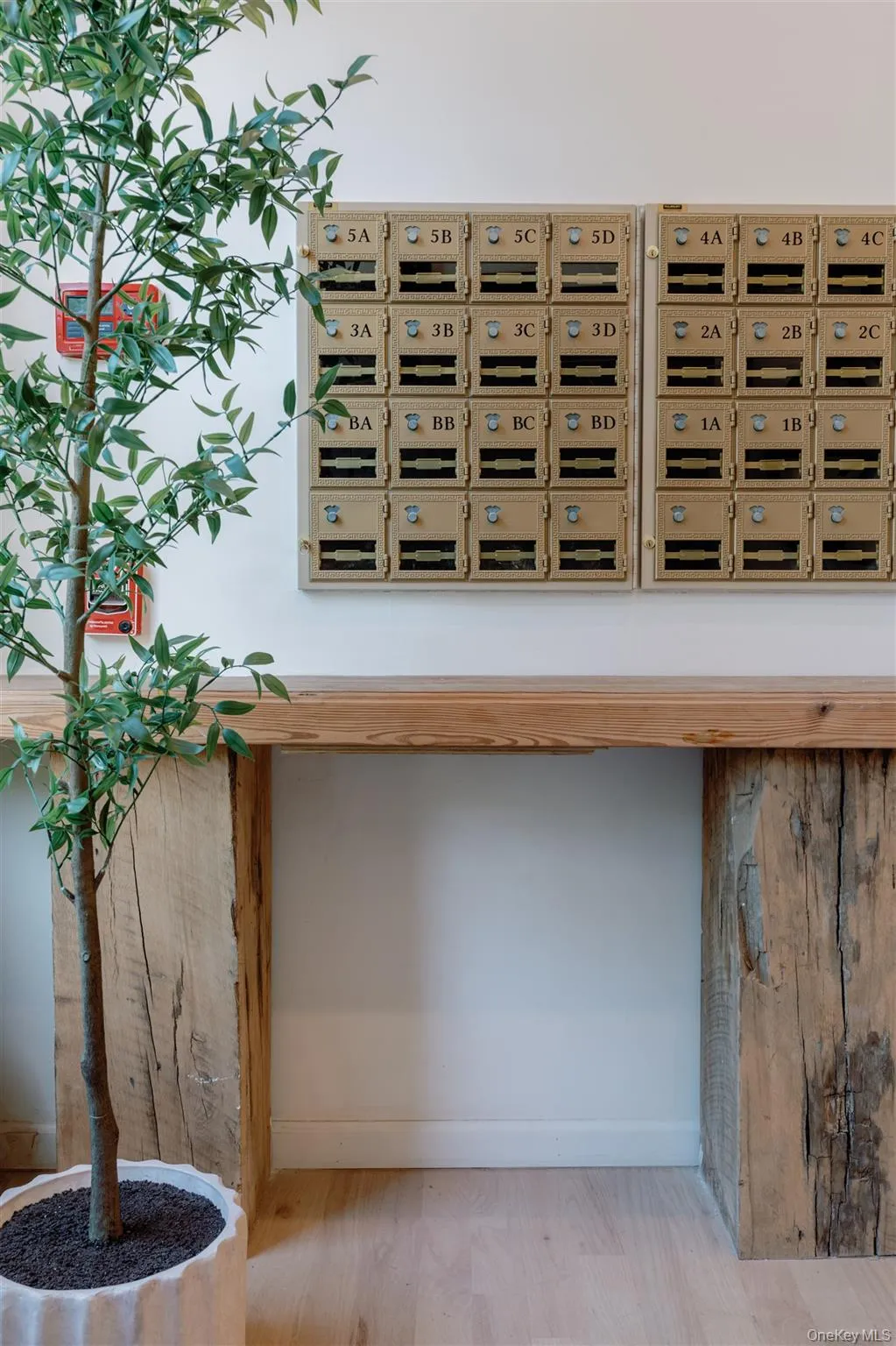 Detailed view of baseboards and wood finished floors Detailed view of baseboards and wood finished floors