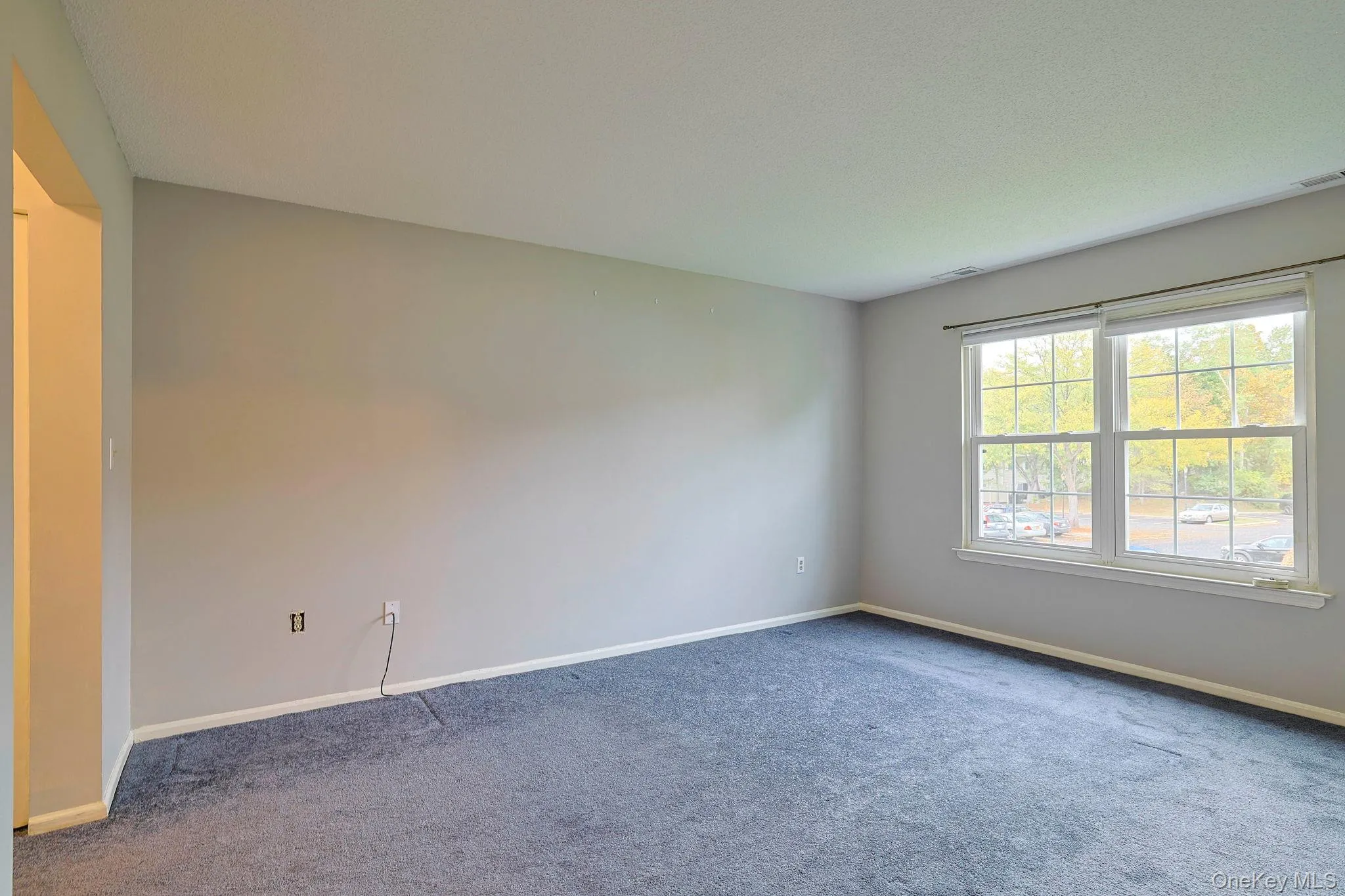 Carpeted empty room with baseboards Carpeted empty room with baseboards