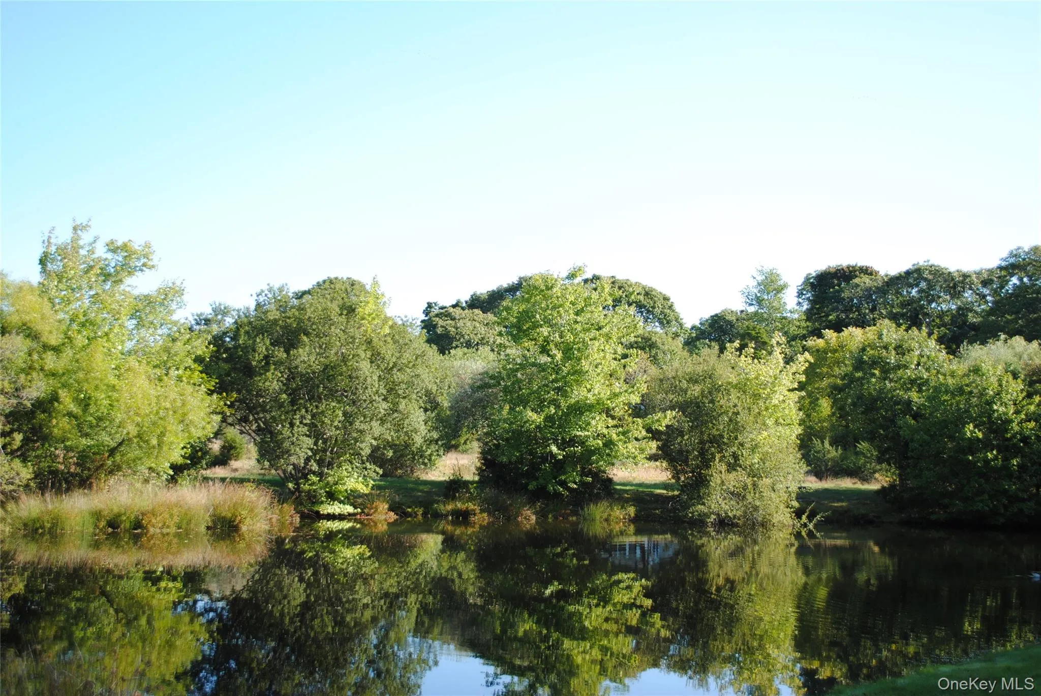 Water view with a heavily wooded area Water view with a heavily wooded area