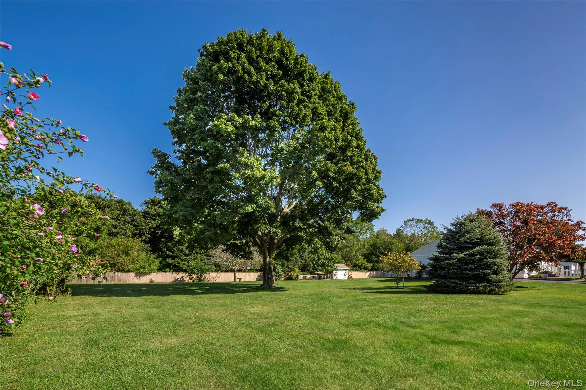 View of yard View of yard