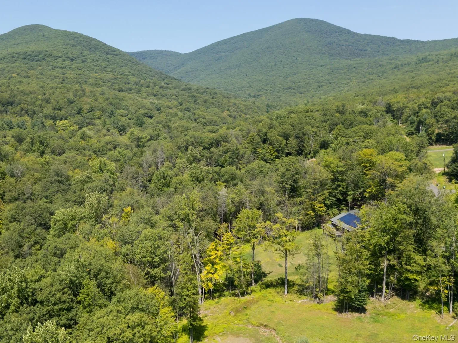 61 Hillside Drive, Olive, NY, ,Land,For Rent,Hillside,0,917247 61 Hillside Drive, Olive, NY, ,Land,For Rent,Hillside,0,917247