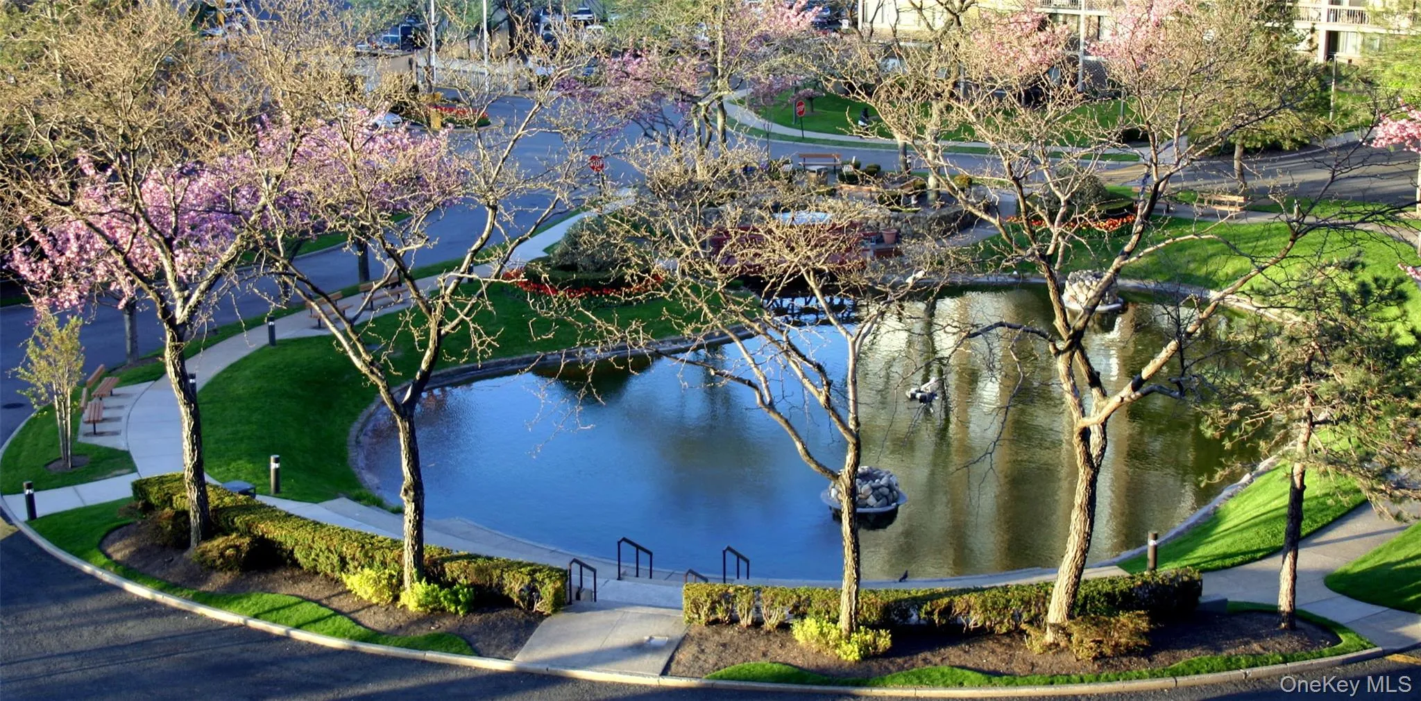 Bay Club Pond. Bay Club Pond.