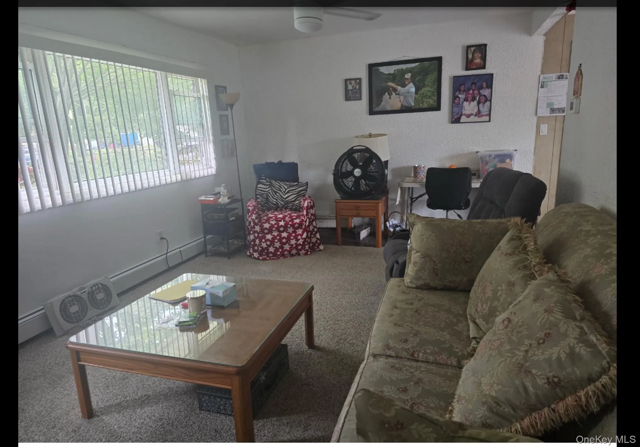 Living room with carpet floors and a baseboard heating unit Living room with carpet floors and a baseboard heating unit