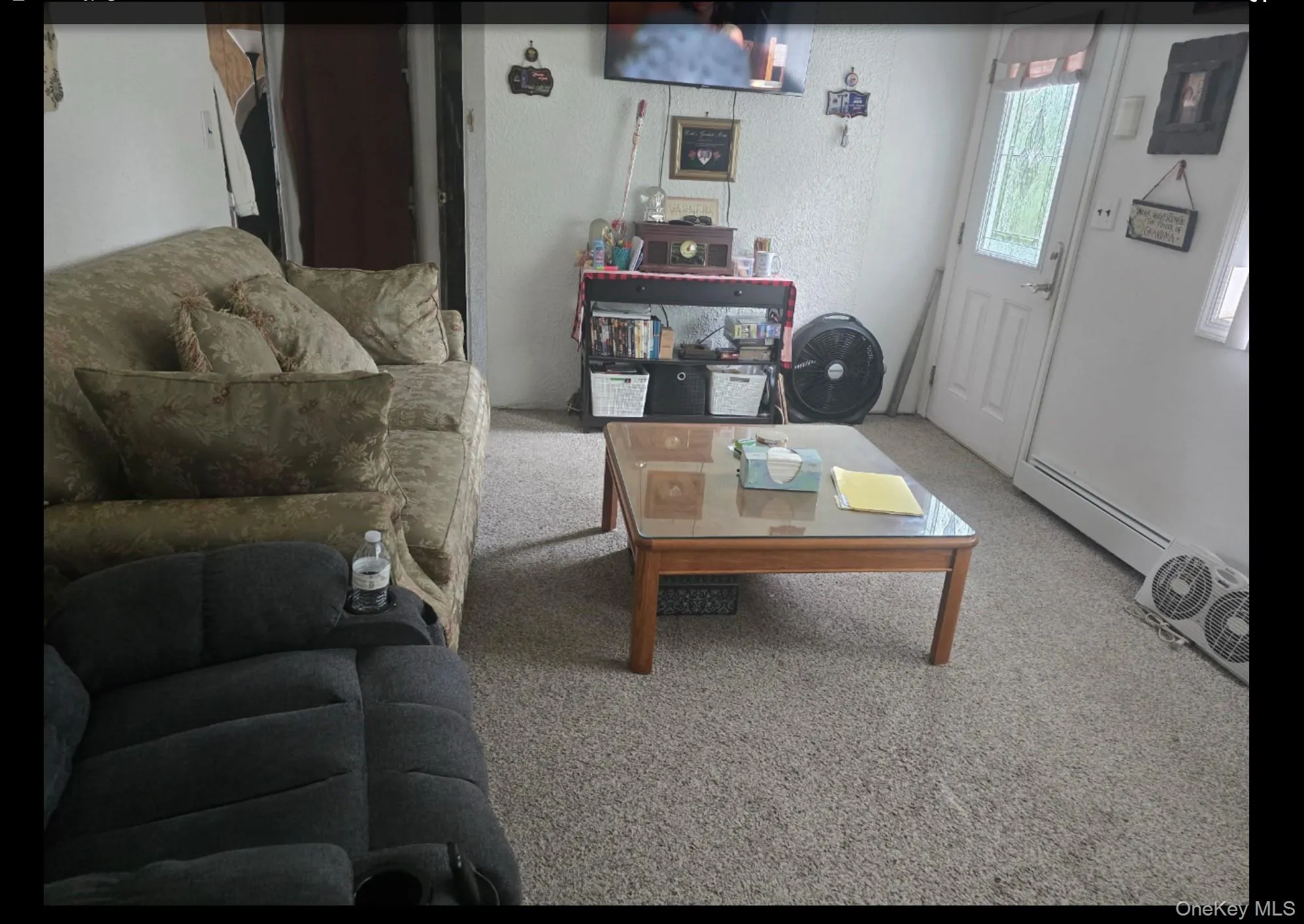 Carpeted living room with a baseboard heating unit Carpeted living room with a baseboard heating unit