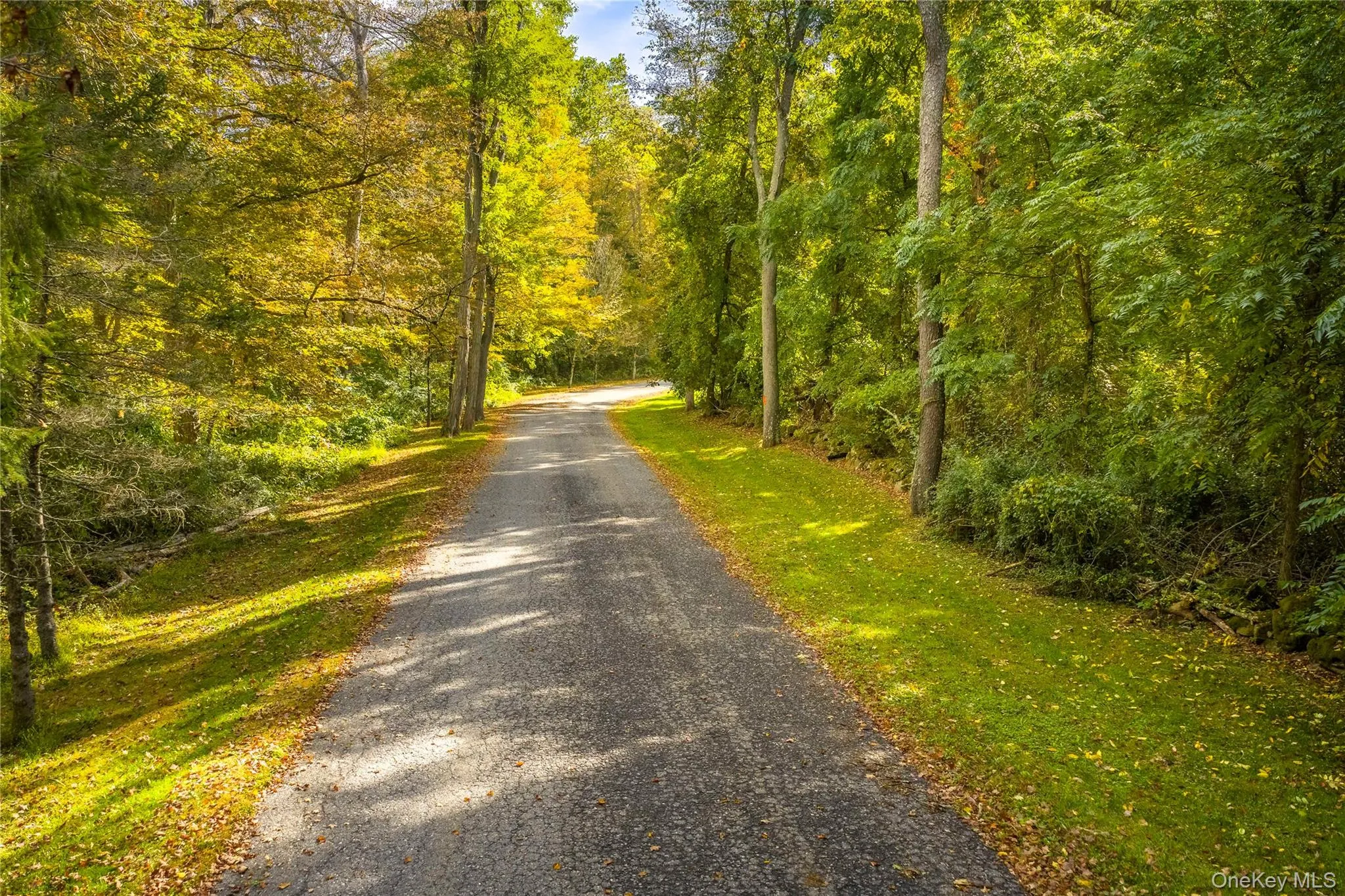View of street featuring a wooded view View of street featuring a wooded view