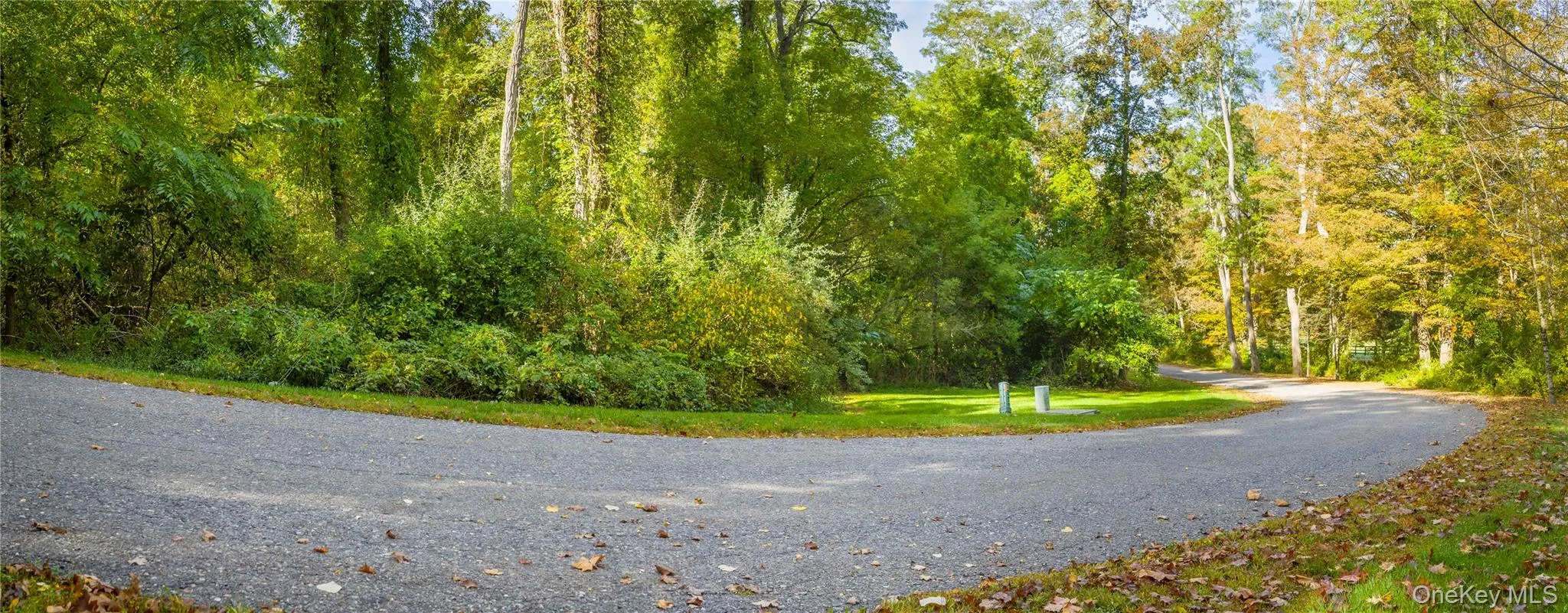 View of dirt / gravel road featuring a view of trees View of dirt / gravel road featuring a view of trees
