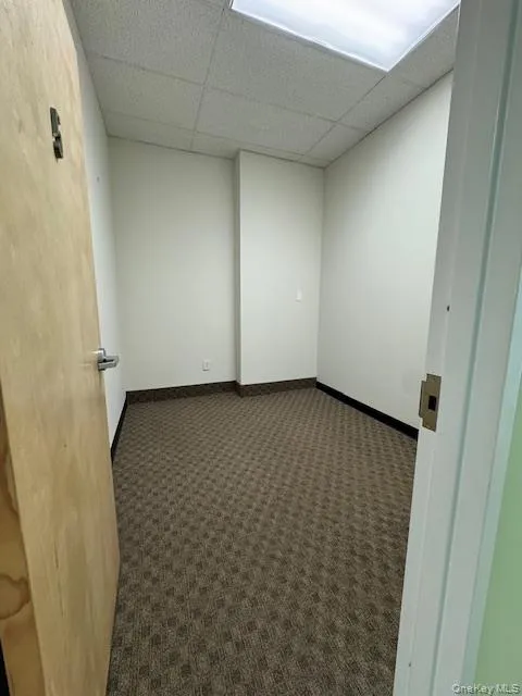 Empty room with dark colored carpet and a drop ceiling Empty room with dark colored carpet and a drop ceiling