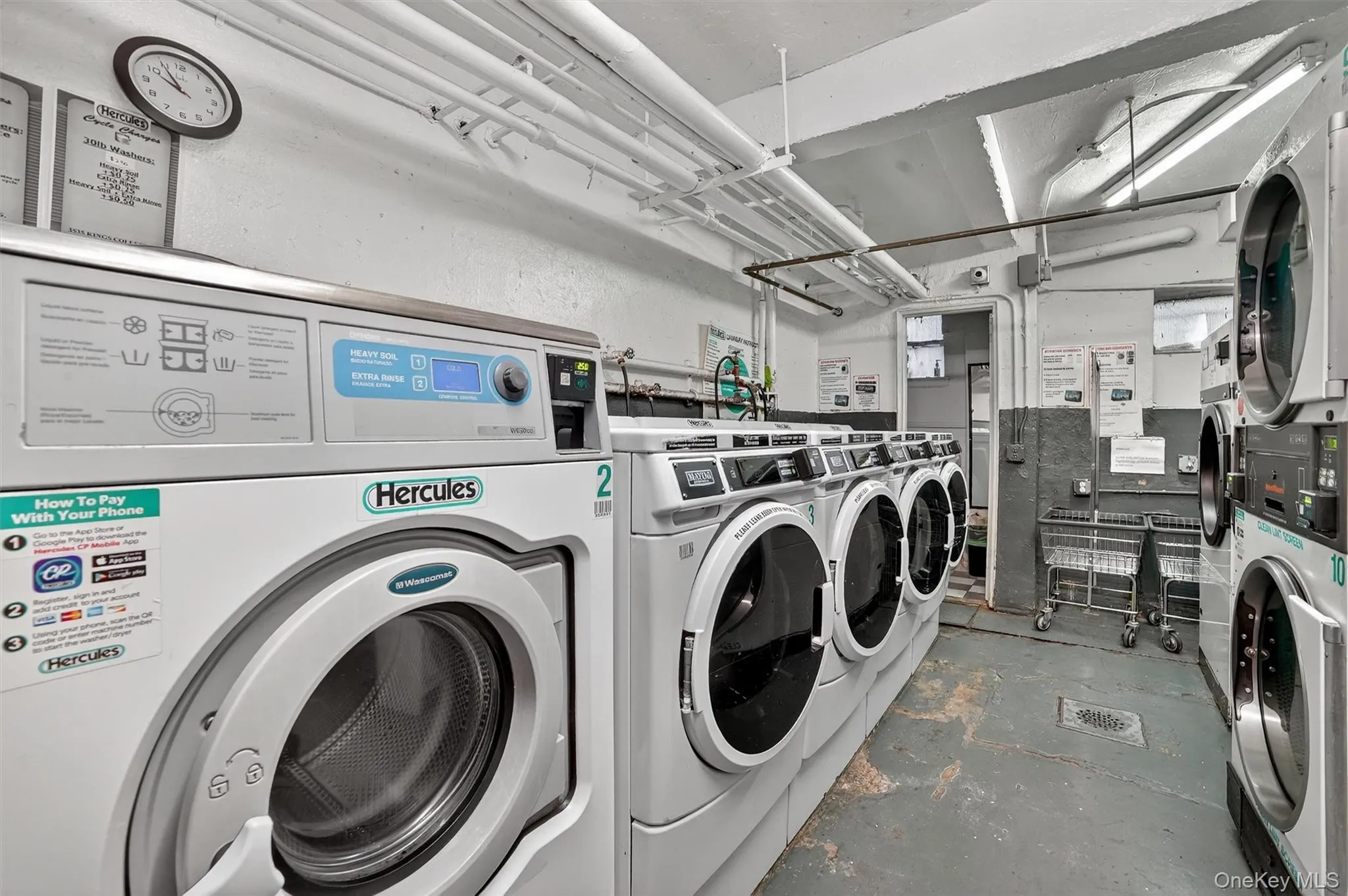 Laundry Laundry