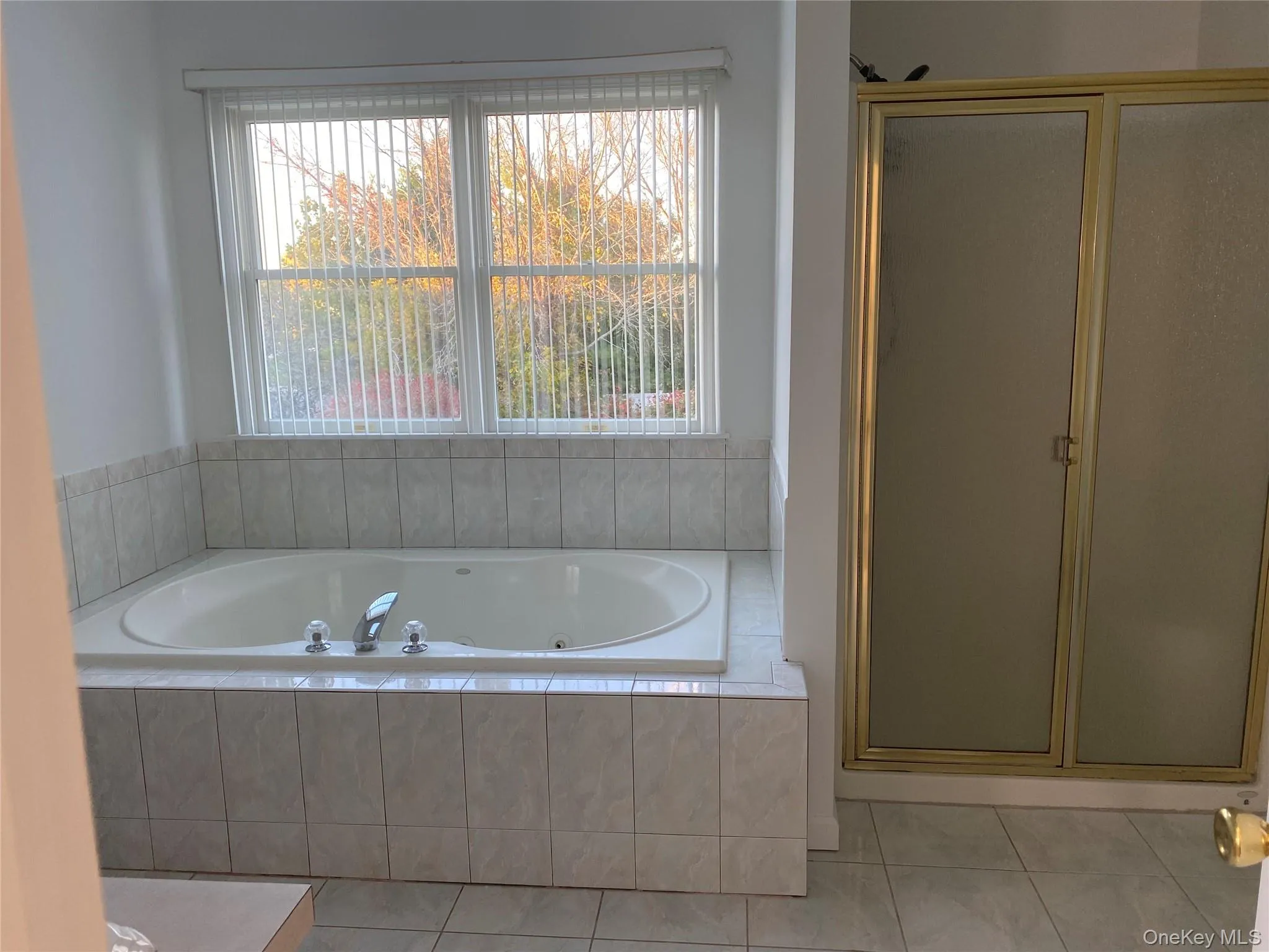 Primary Bathroom tub, and a stall shower Primary Bathroom tub, and a stall shower