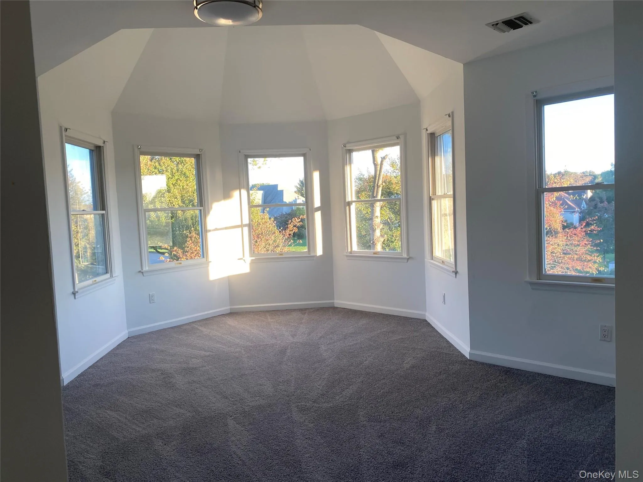 3rd Bedroom with vaulted ceiling 3rd Bedroom with vaulted ceiling