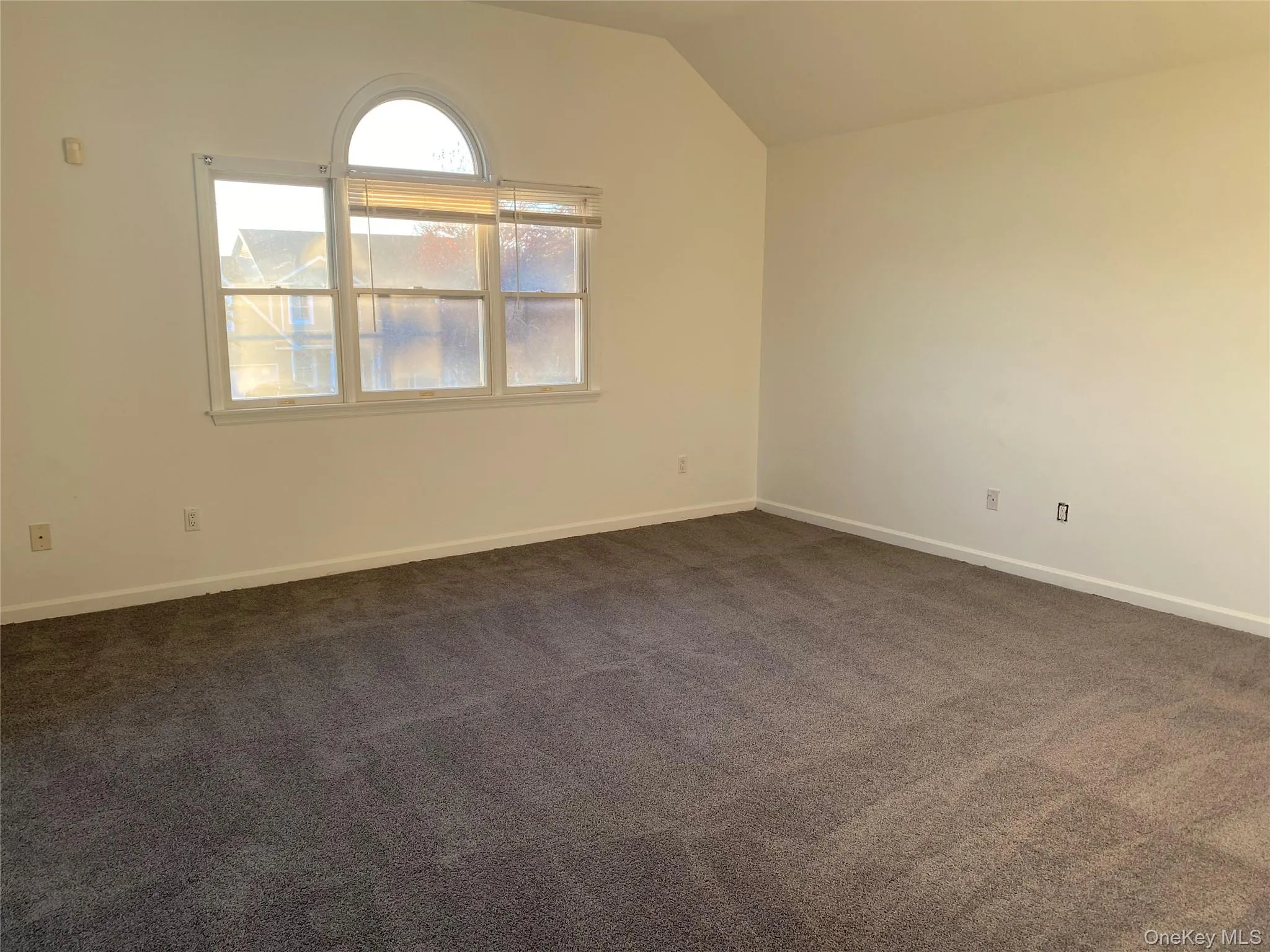 Large Primary Bedroom Bed/Furniture Area Large Primary Bedroom Bed/Furniture Area