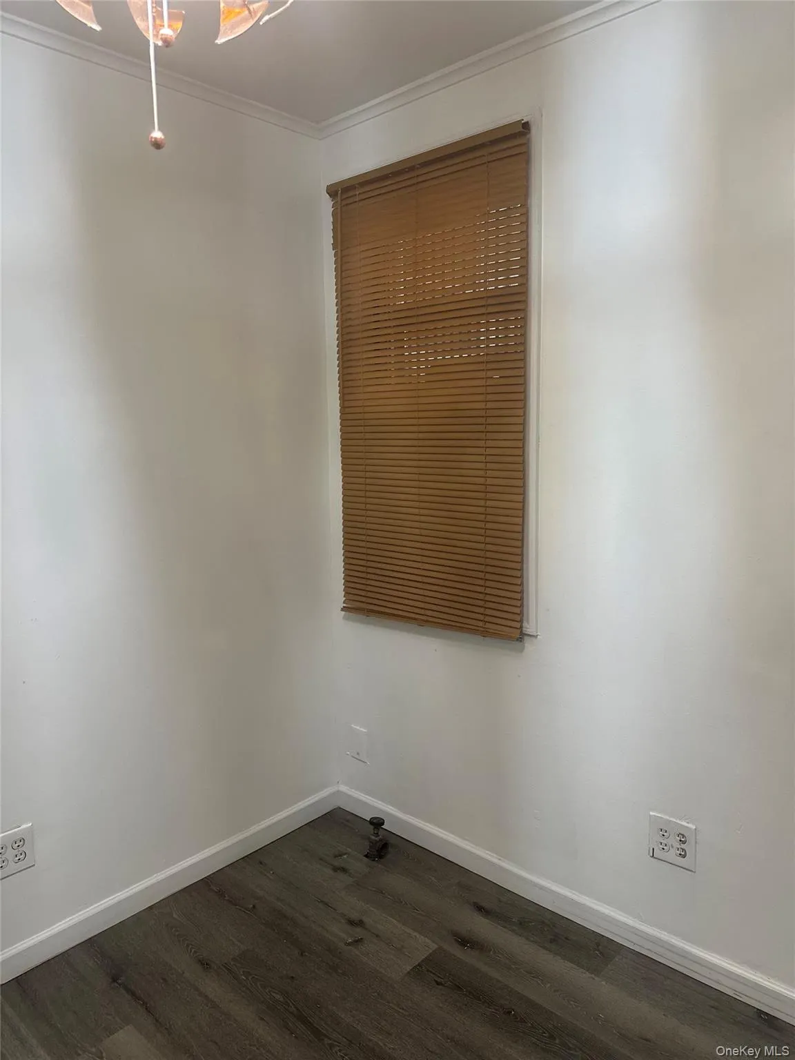 Unfurnished room featuring crown molding and dark wood finished floors Unfurnished room featuring crown molding and dark wood finished floors