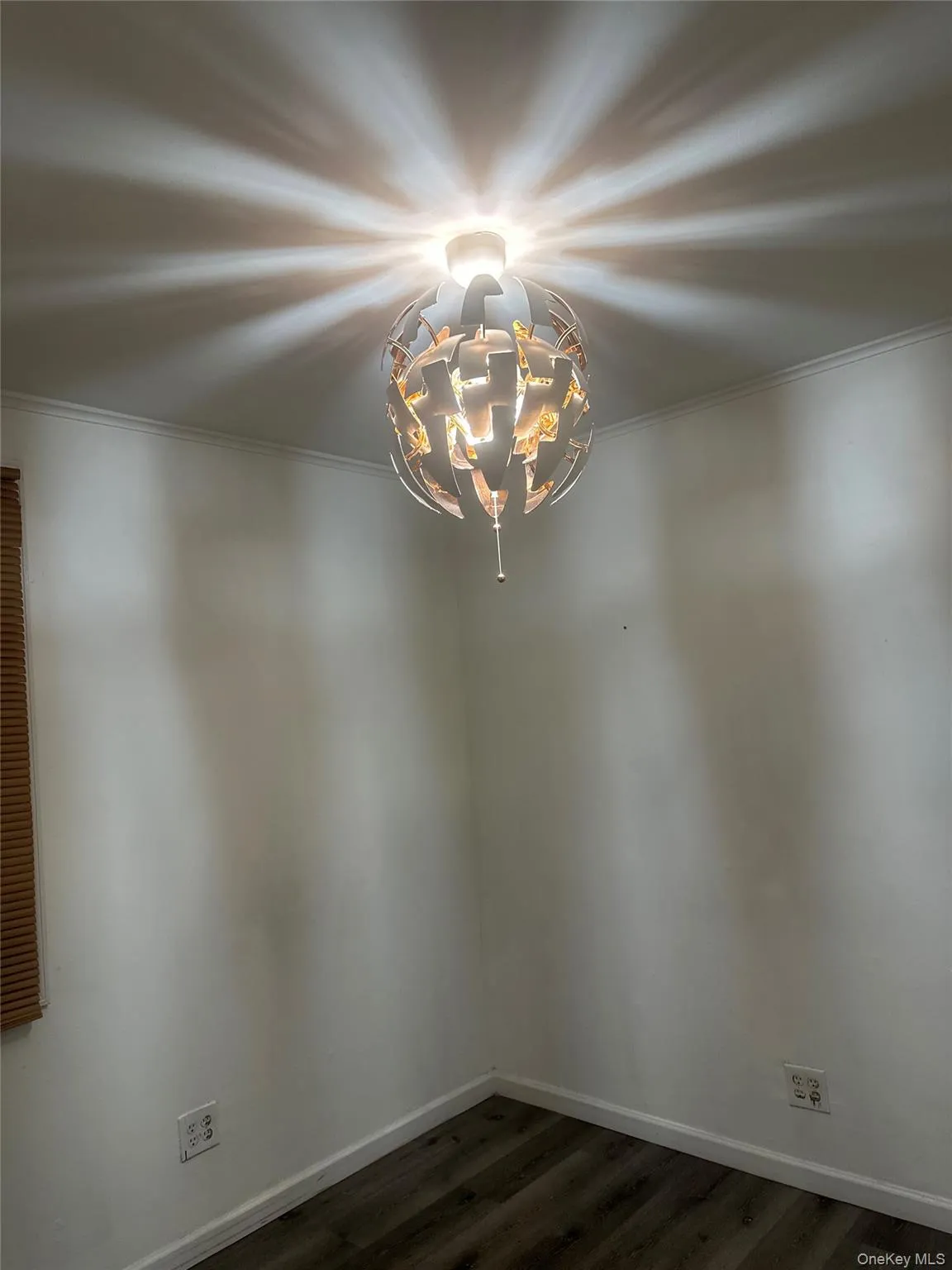 Unfurnished room featuring dark wood-type flooring and crown molding Unfurnished room featuring dark wood-type flooring and crown molding