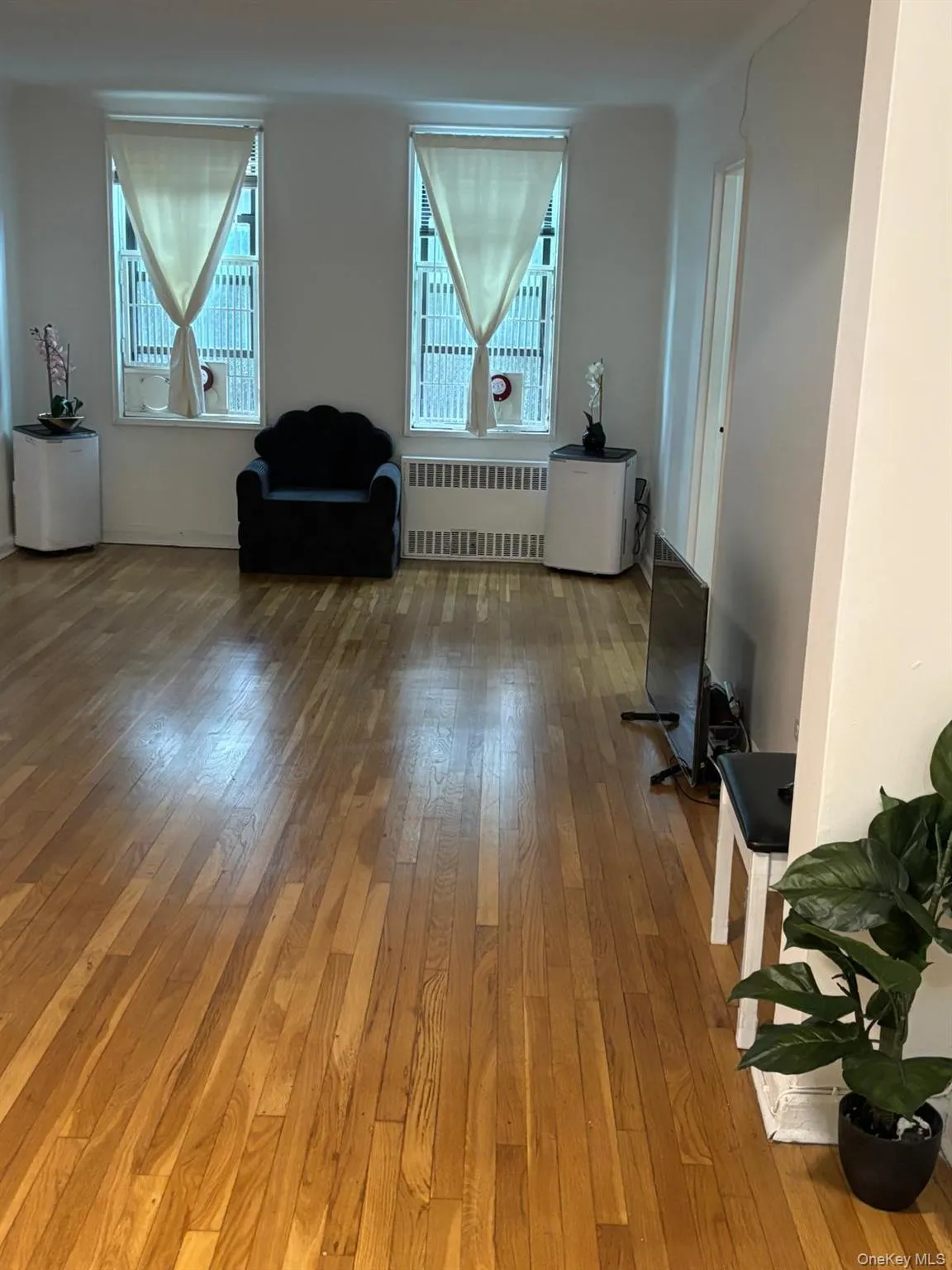Living area featuring light wood-type flooring, radiator, and healthy amount of natural light Living area featuring light wood-type flooring, radiator, and healthy amount of natural light