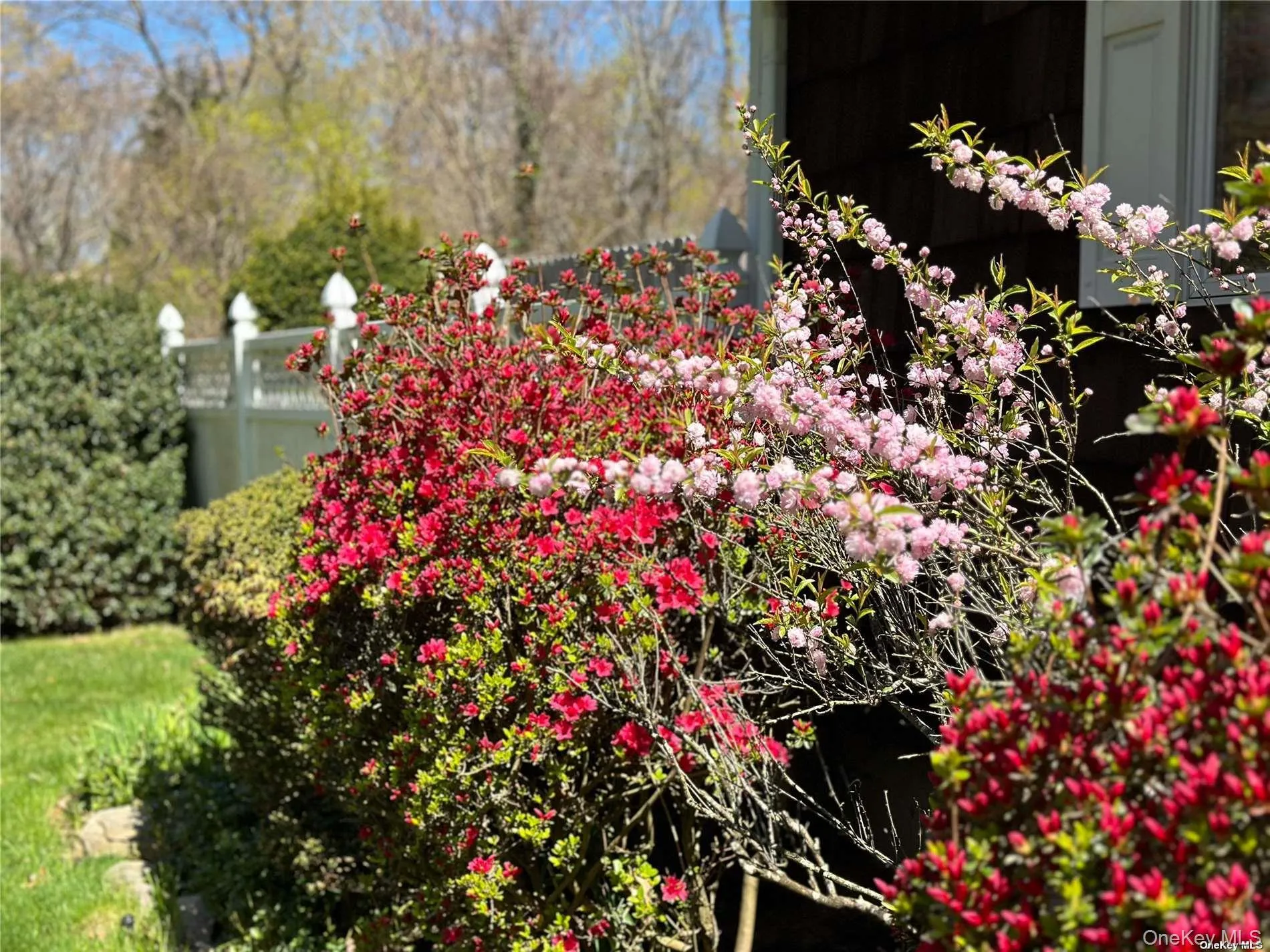 126 Overhill Road, Riverhead, NY, 3 Bedrooms Bedrooms, 5 Rooms Rooms,2 BathroomsBathrooms,Residential Lease,Idx,Overhill,0,917897 126 Overhill Road, Riverhead, NY, 3 Bedrooms Bedrooms, 5 Rooms Rooms,2 BathroomsBathrooms,Residential Lease,Idx,Overhill,0,917897